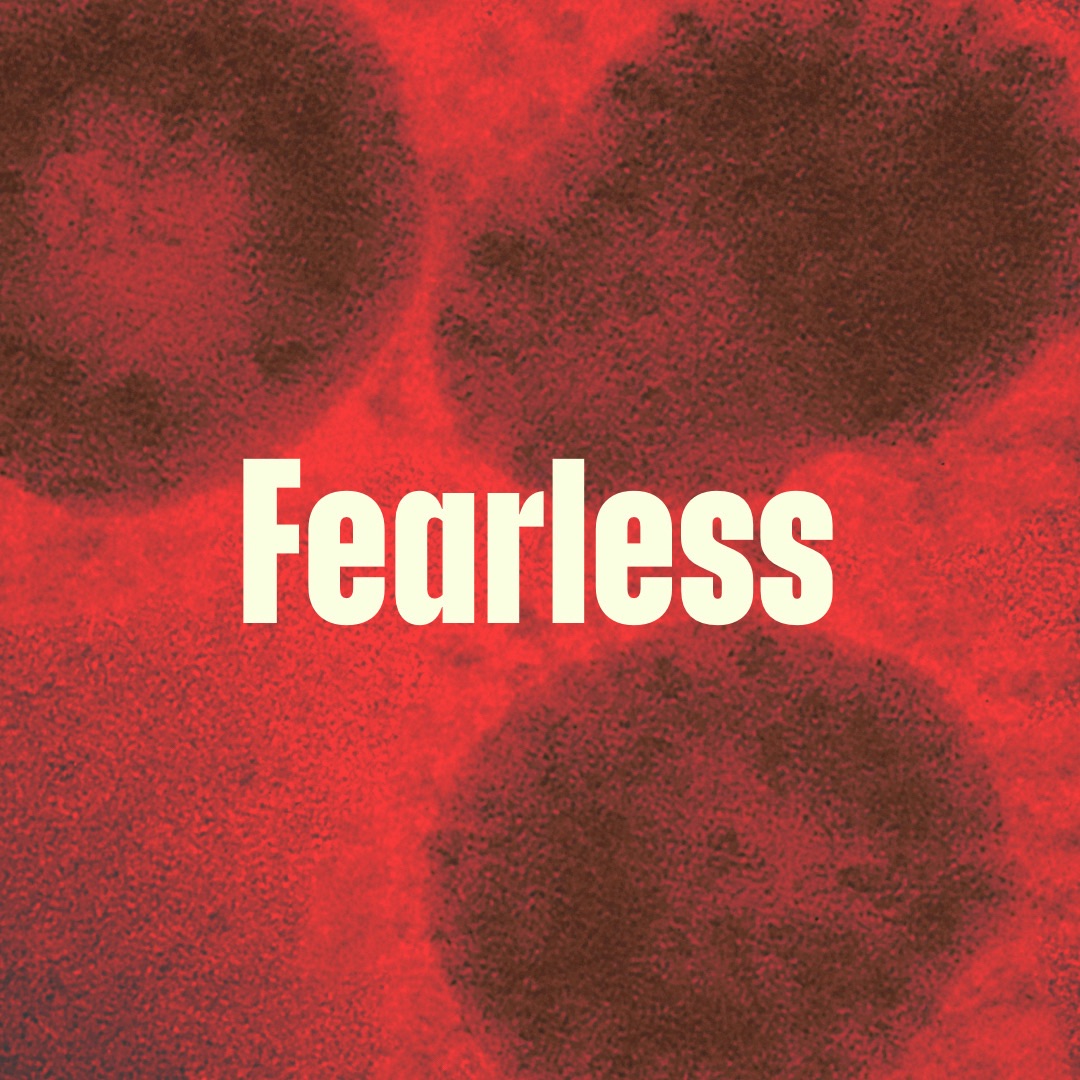 Fearless