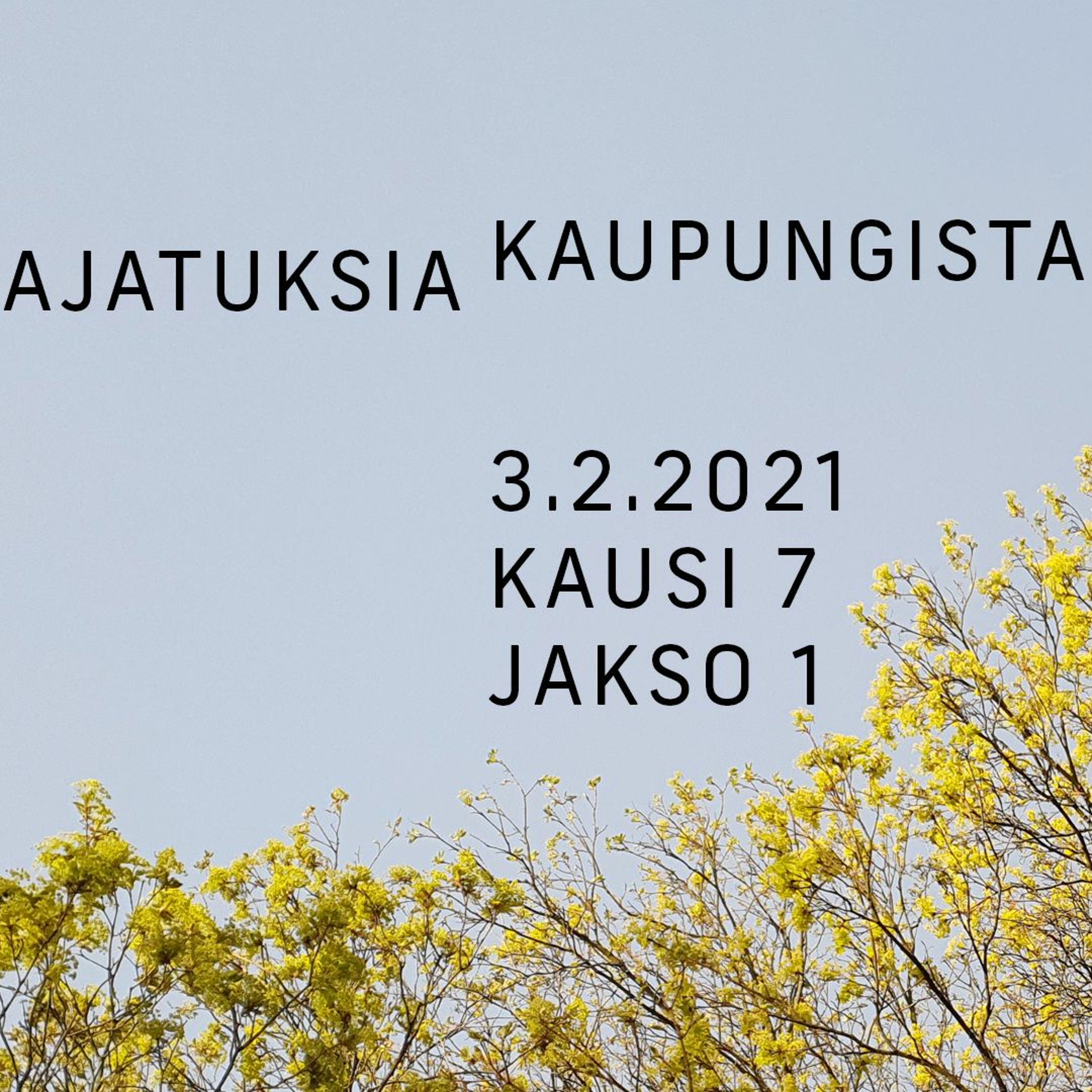 Ajatuksia kaupungista