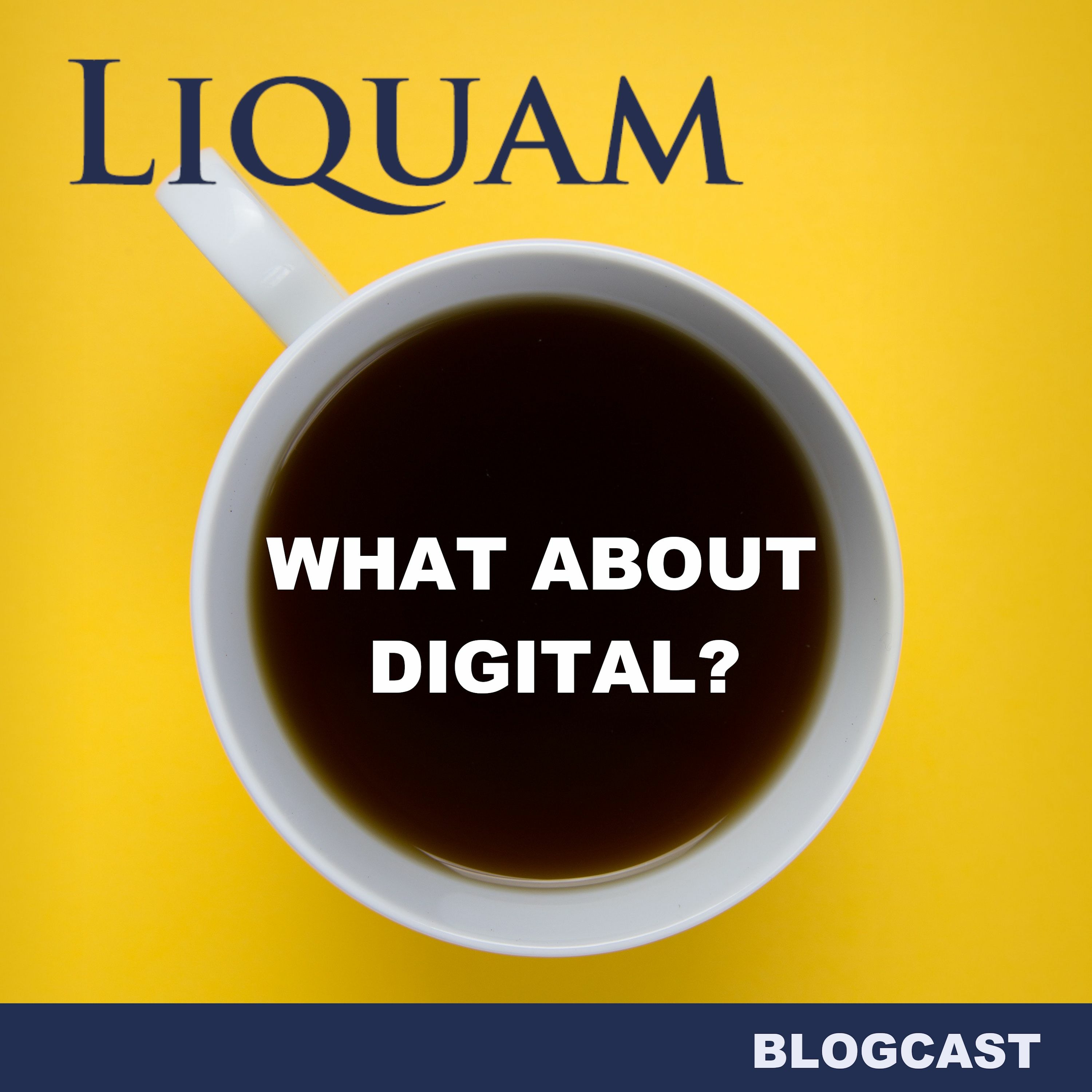 Liquam Blogcast #22 - Corporate Influencing