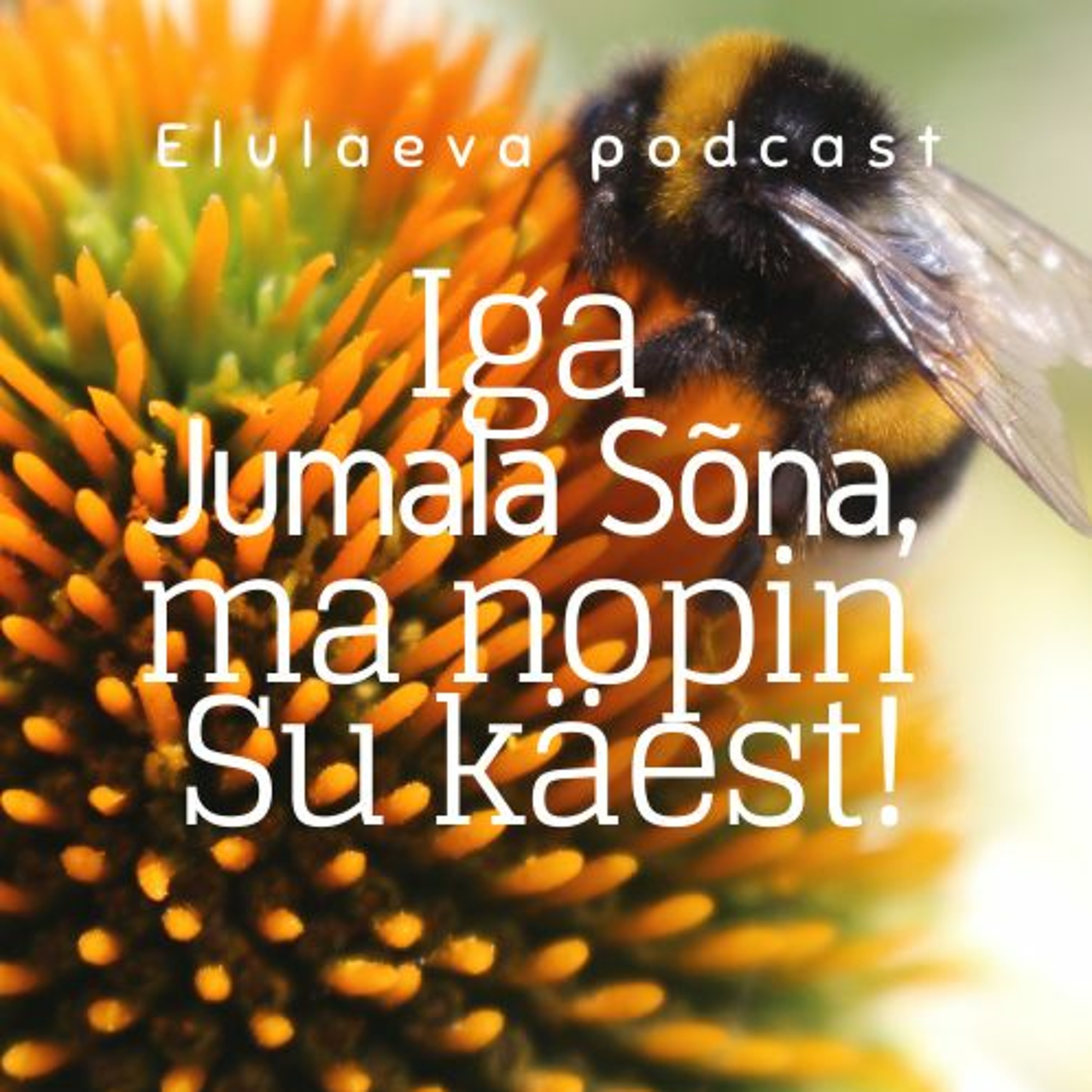 Piibli salmiread: Armastus Jumala vastu