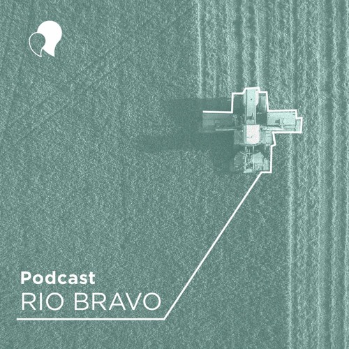 Podcast 591 – Luis Felli: “O agronegócio brasileiro é um dos mais competentes do mundo”
