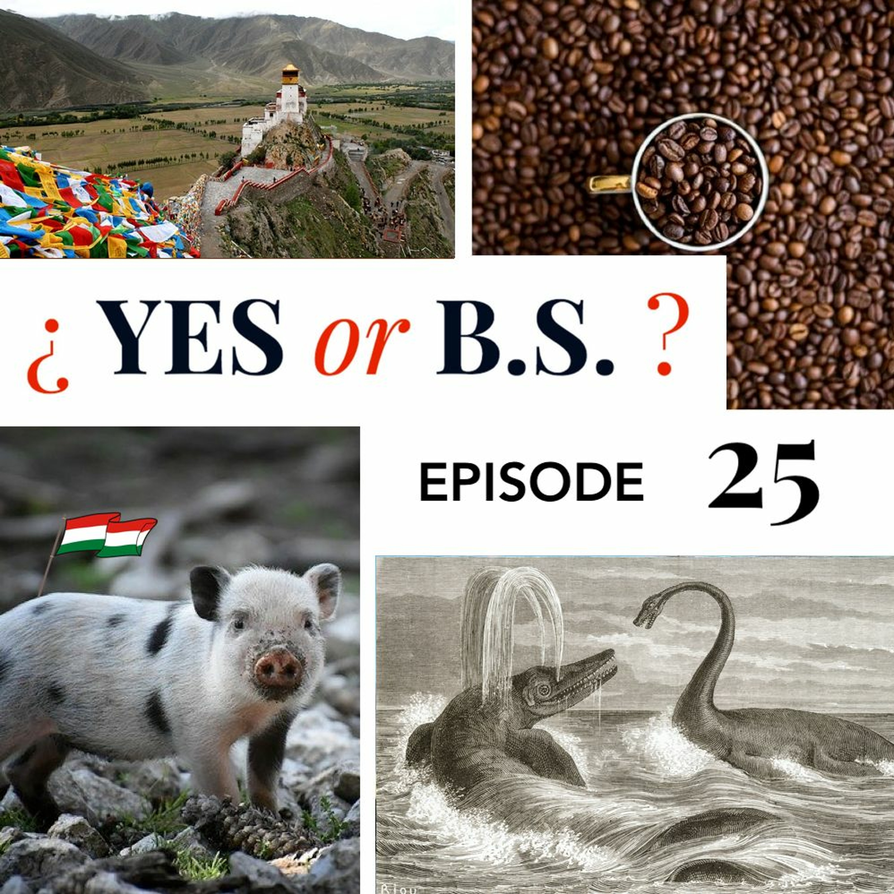 Episode 25: Was Noah’s Ark discovered during the Cold War?
