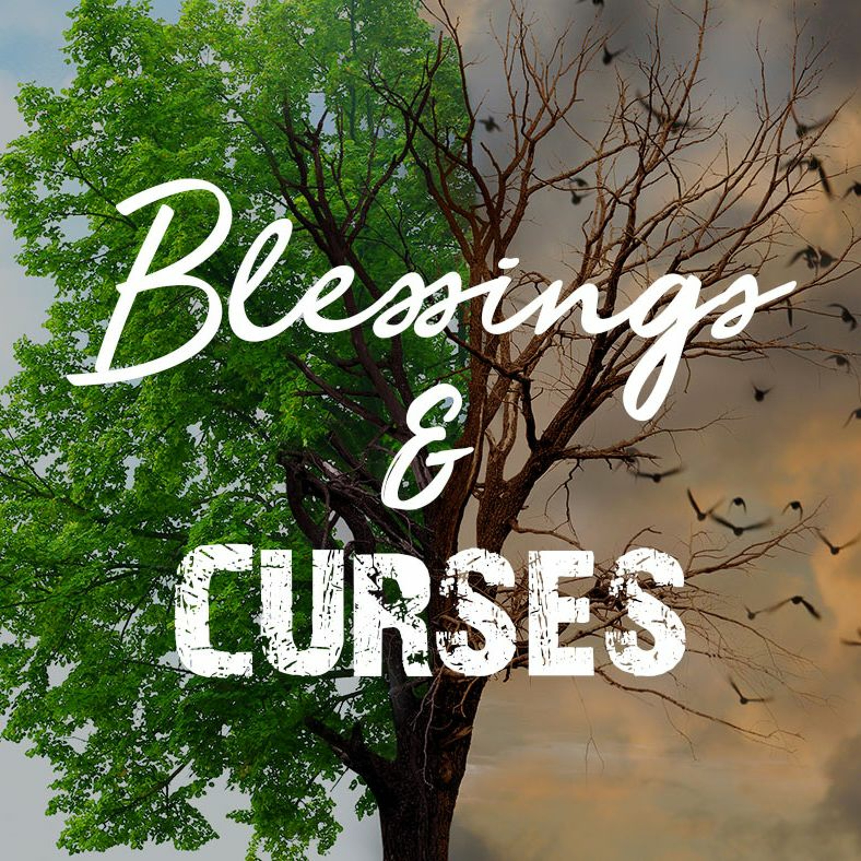 Week 1 - Blessings & Curses