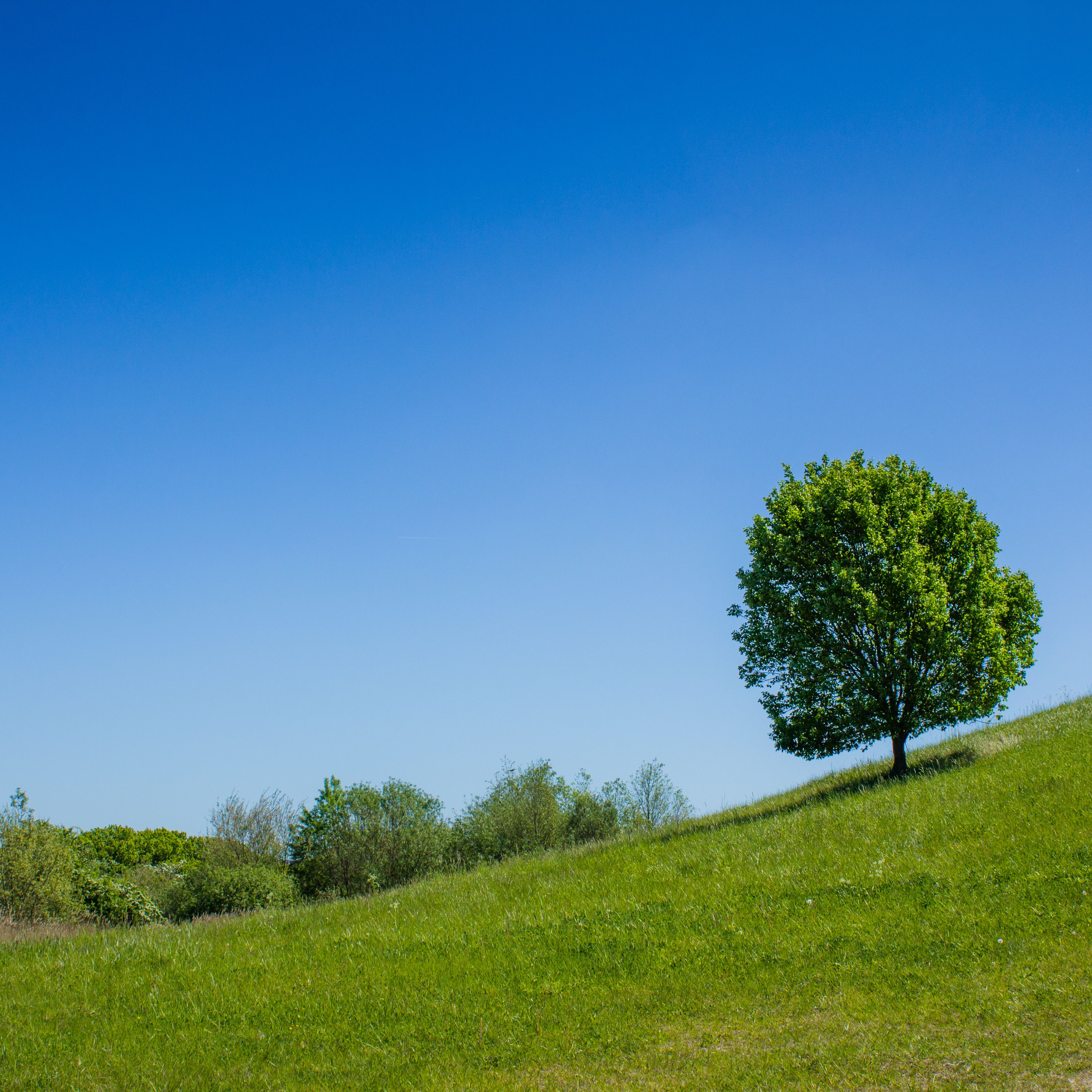 Finding a Place of Rest - Mahamudra - 1a
