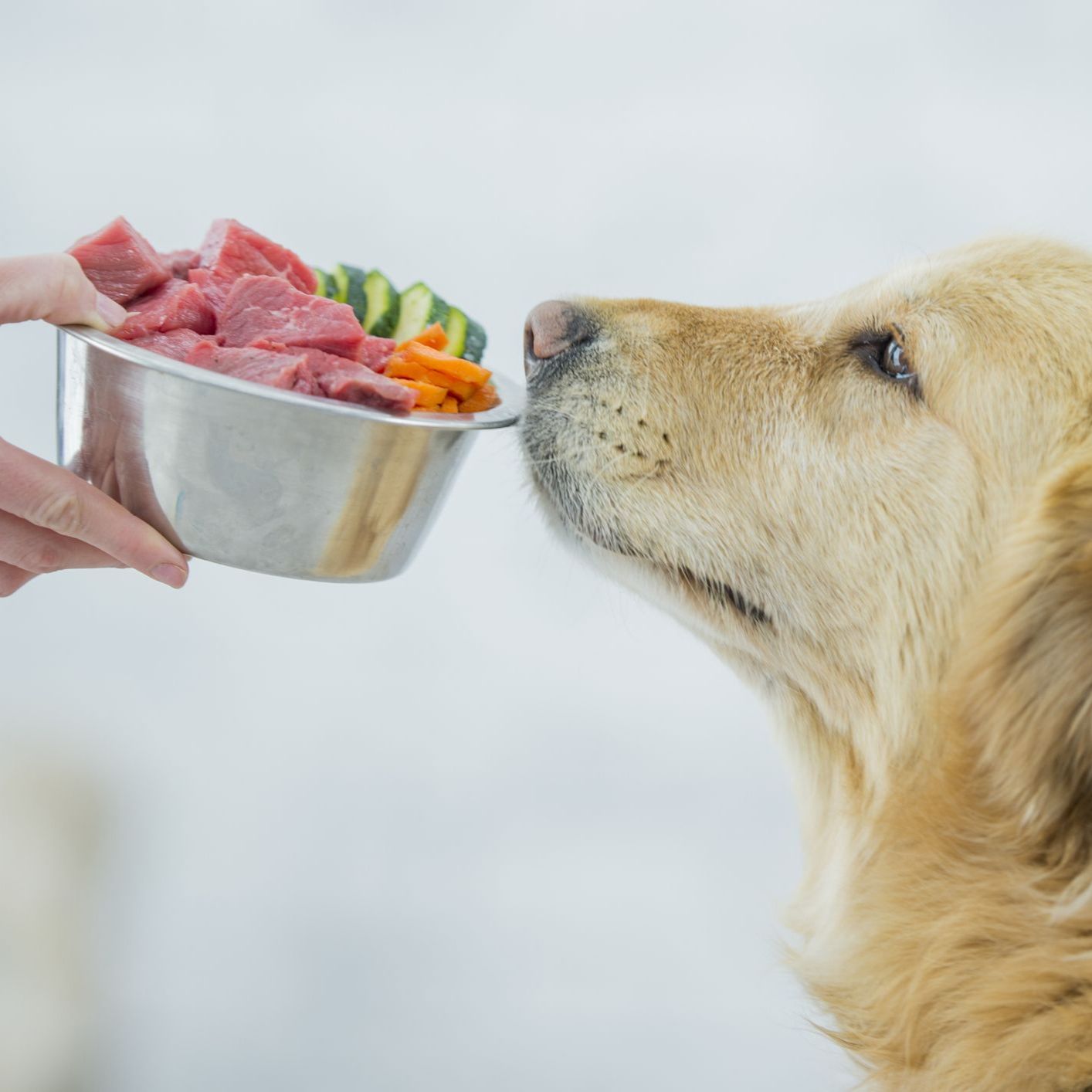 Episode 32- Raw Dog