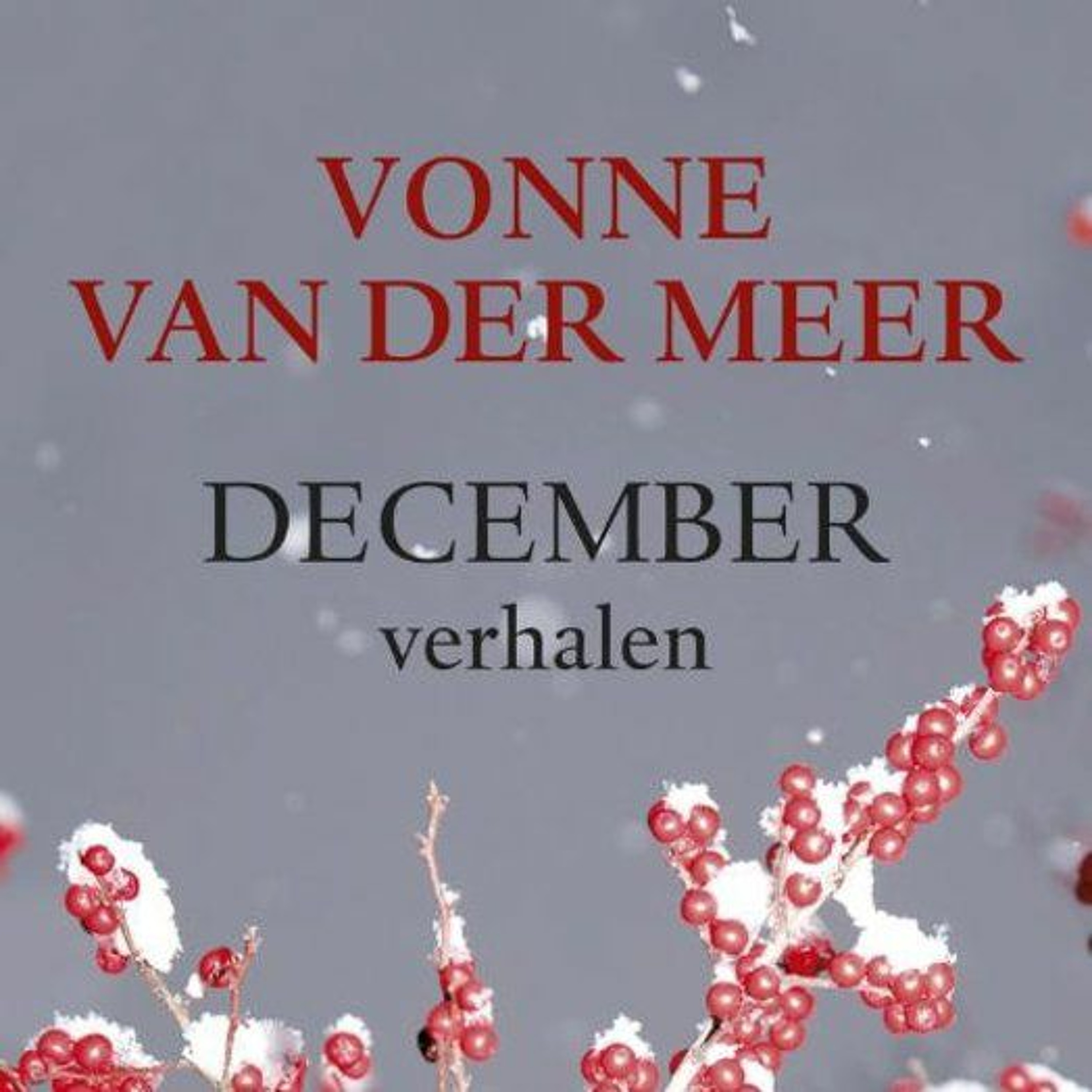 Vonne van der Meer leest voor | December