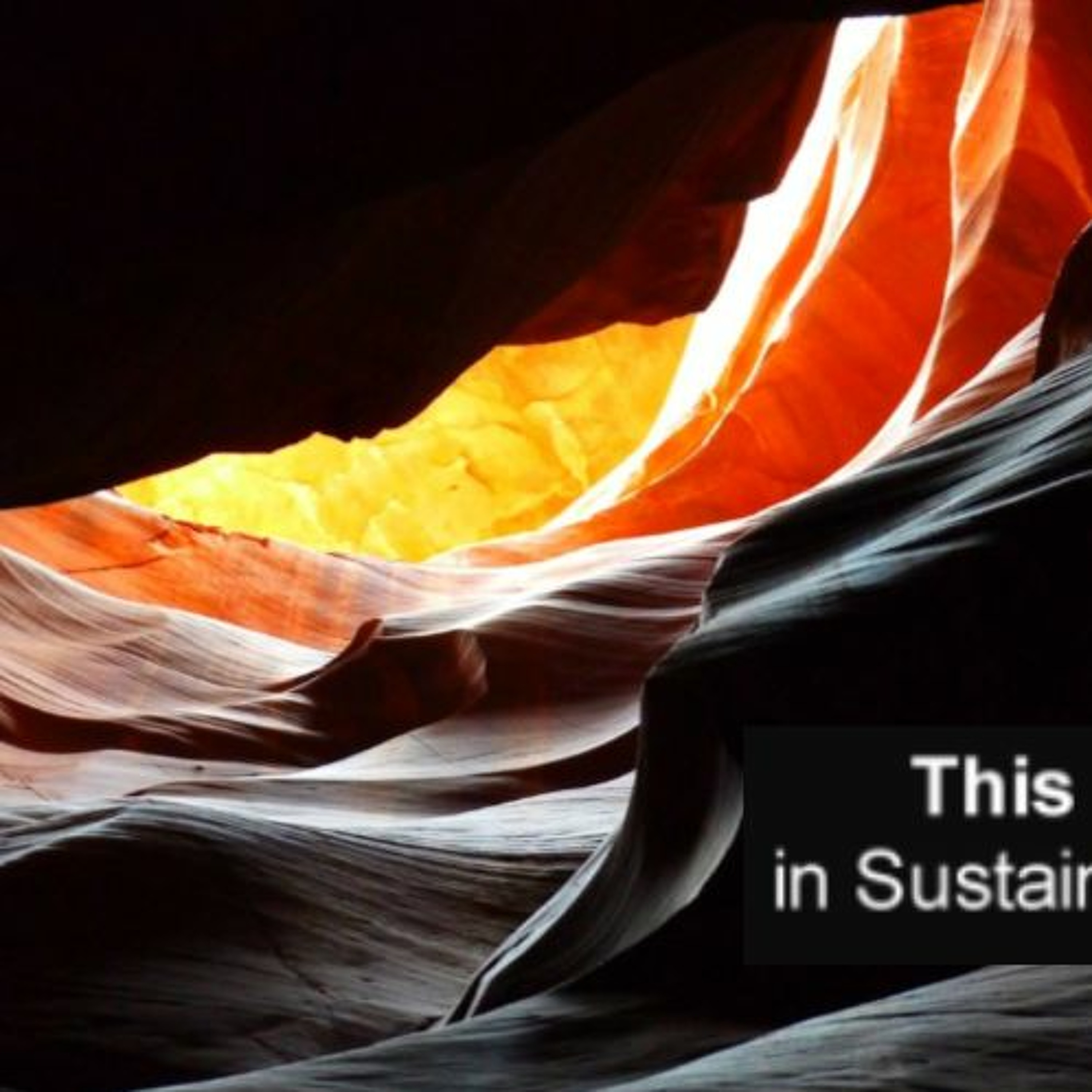 The Sustainable Century
