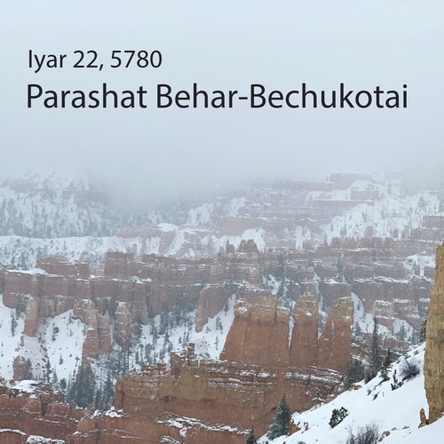 AE: Torah for the Earth - Behar-Bechukotai
