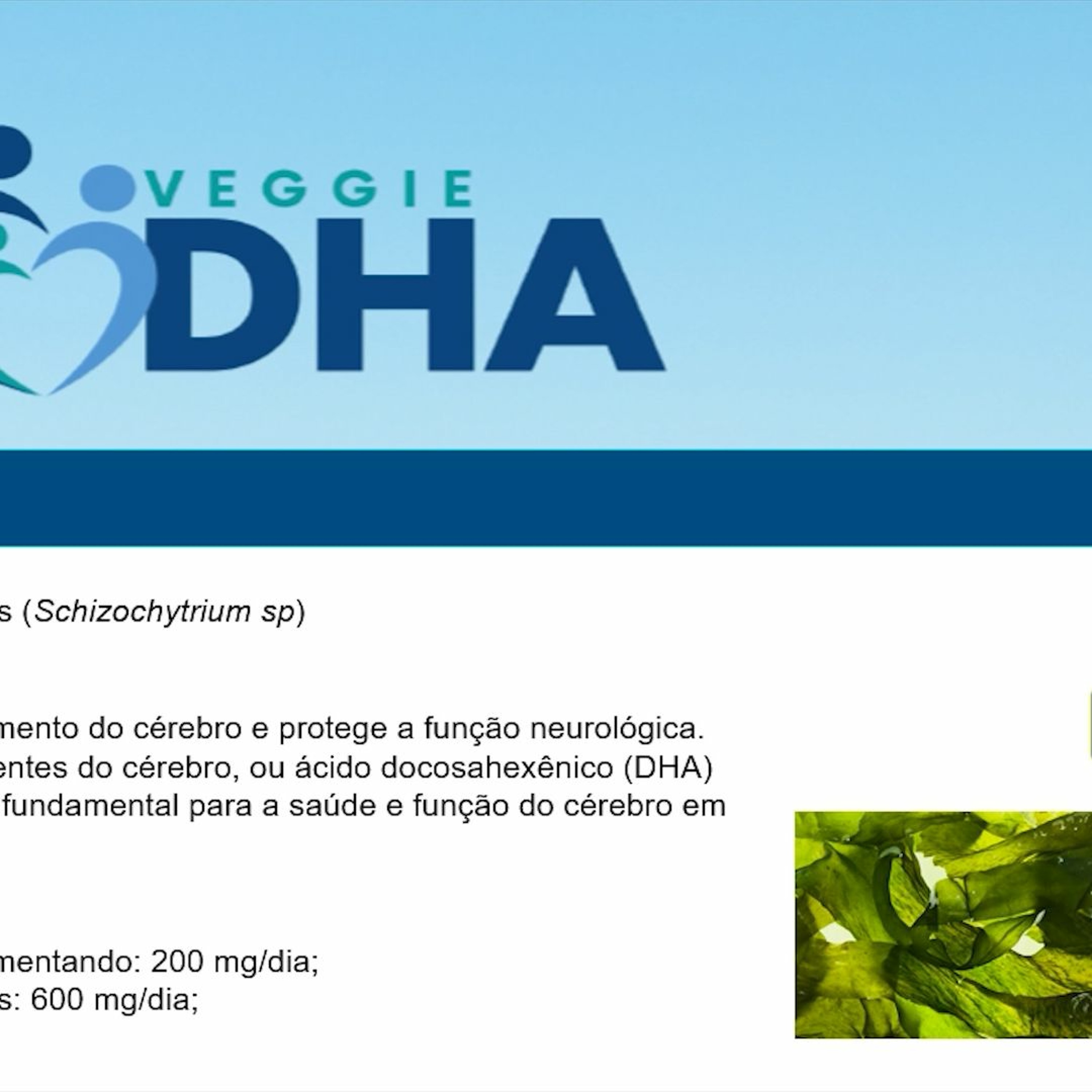 Via Farma