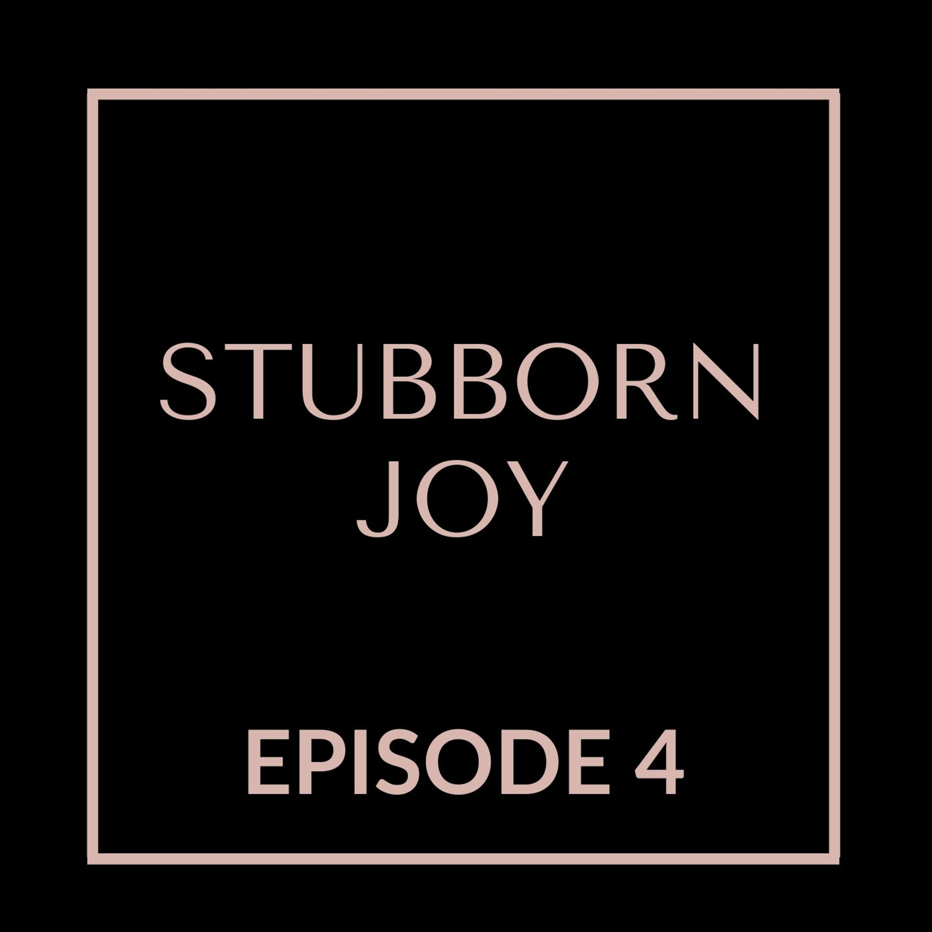 Stubborn Joy: One Family's Journey After A Traumatic Brain Injury