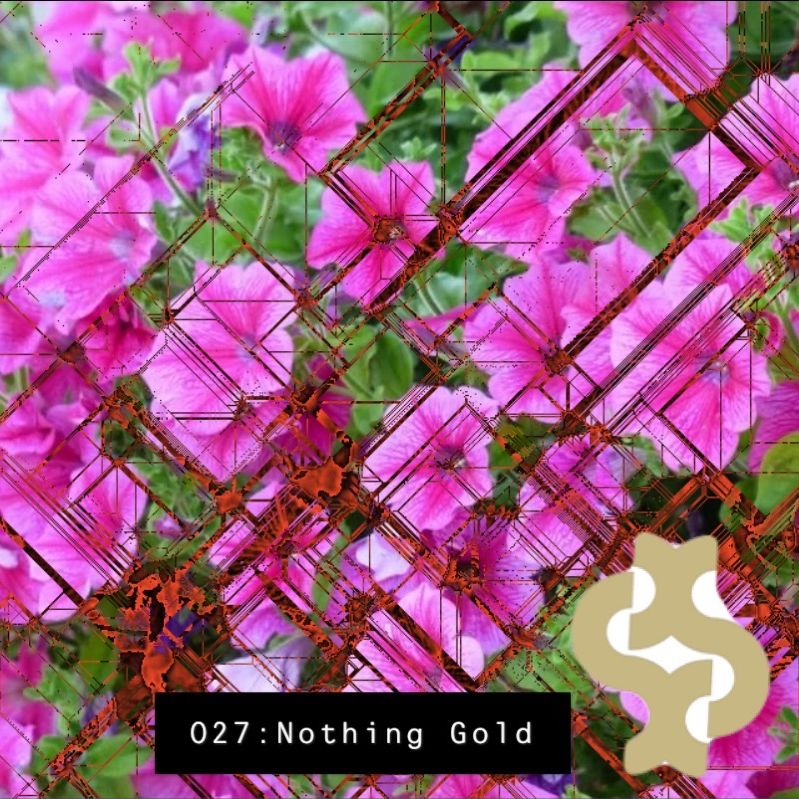 027 - Nothing Gold