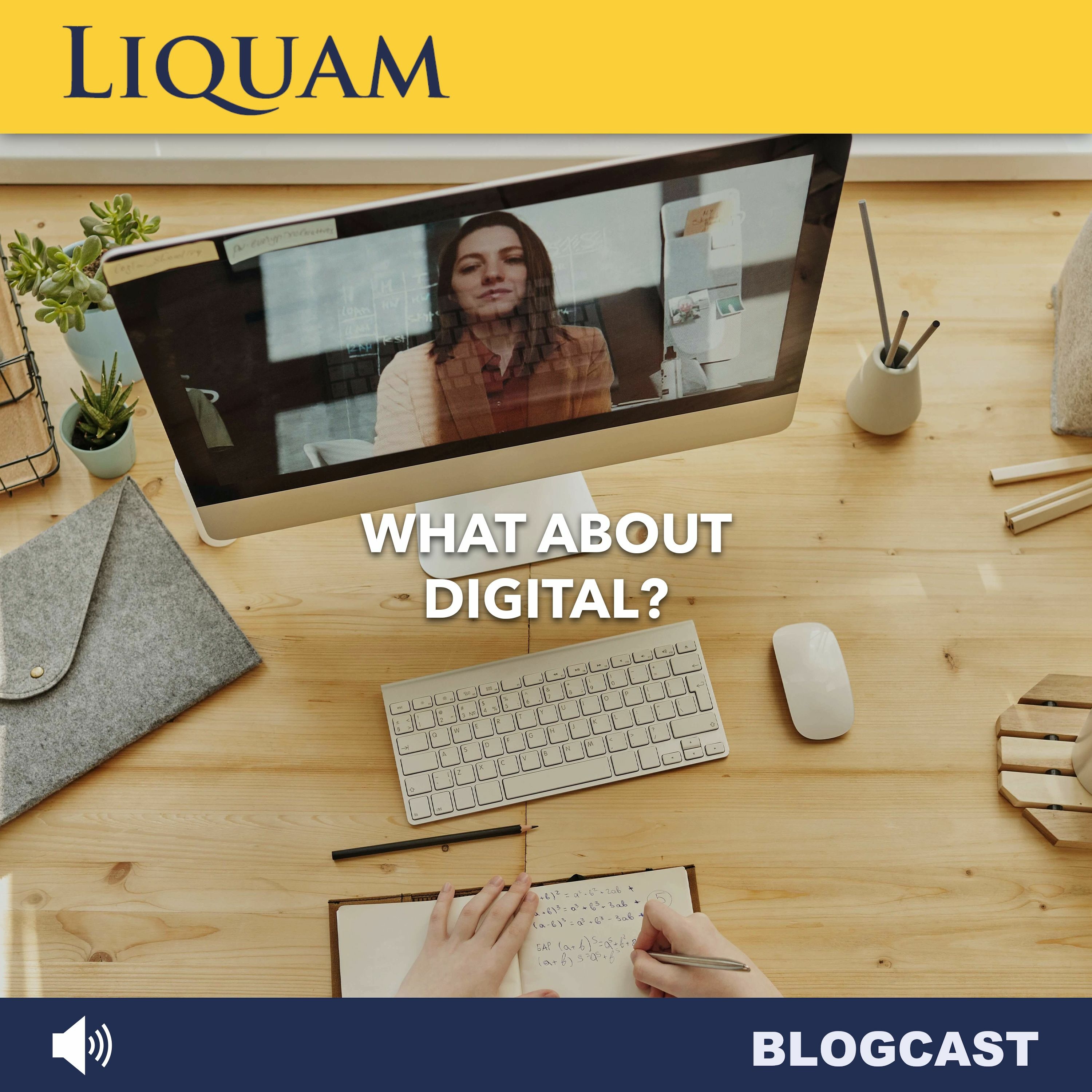 Liquam Blogcast #24 - Erfolgreiche Webmeetings und Online Workshops durchführen