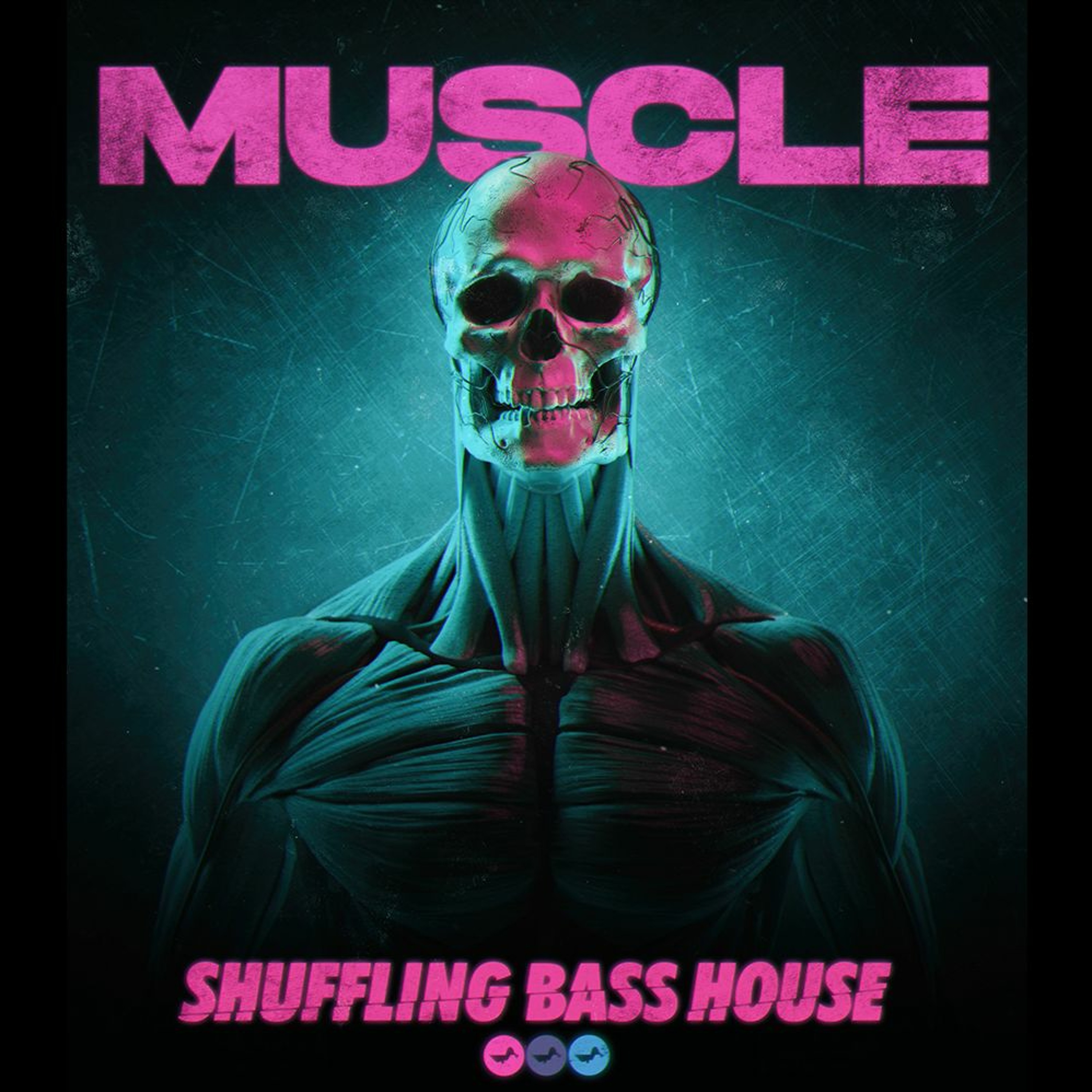 Muscle: Shuffling Bass House