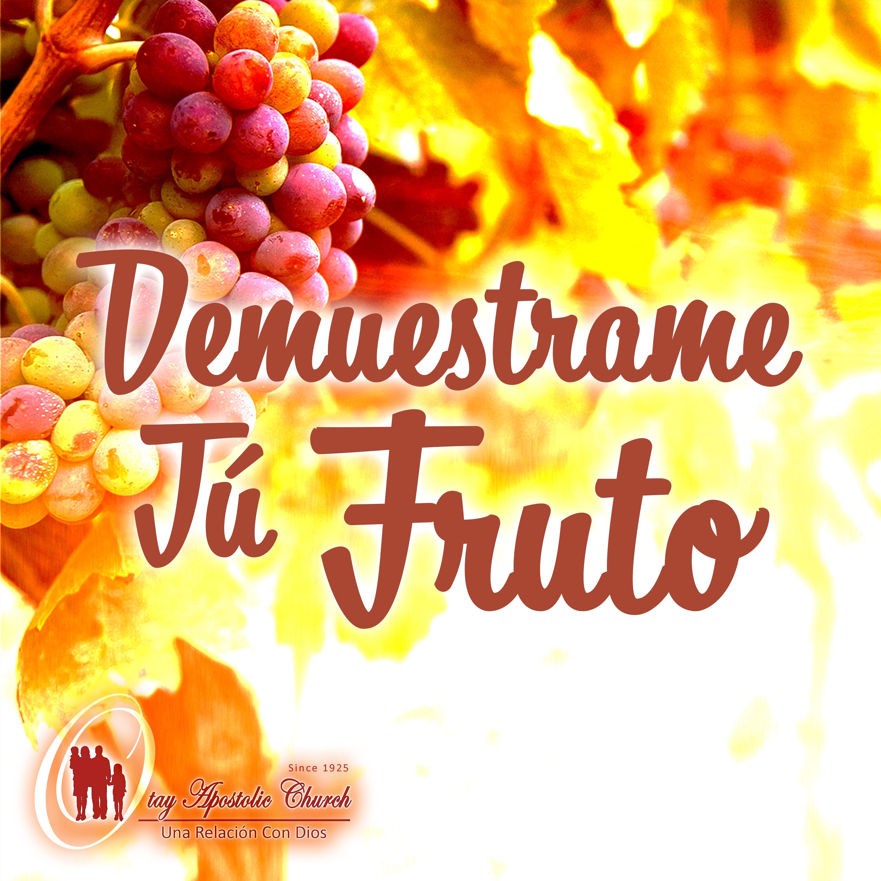 Demuestrame Tu Fruto