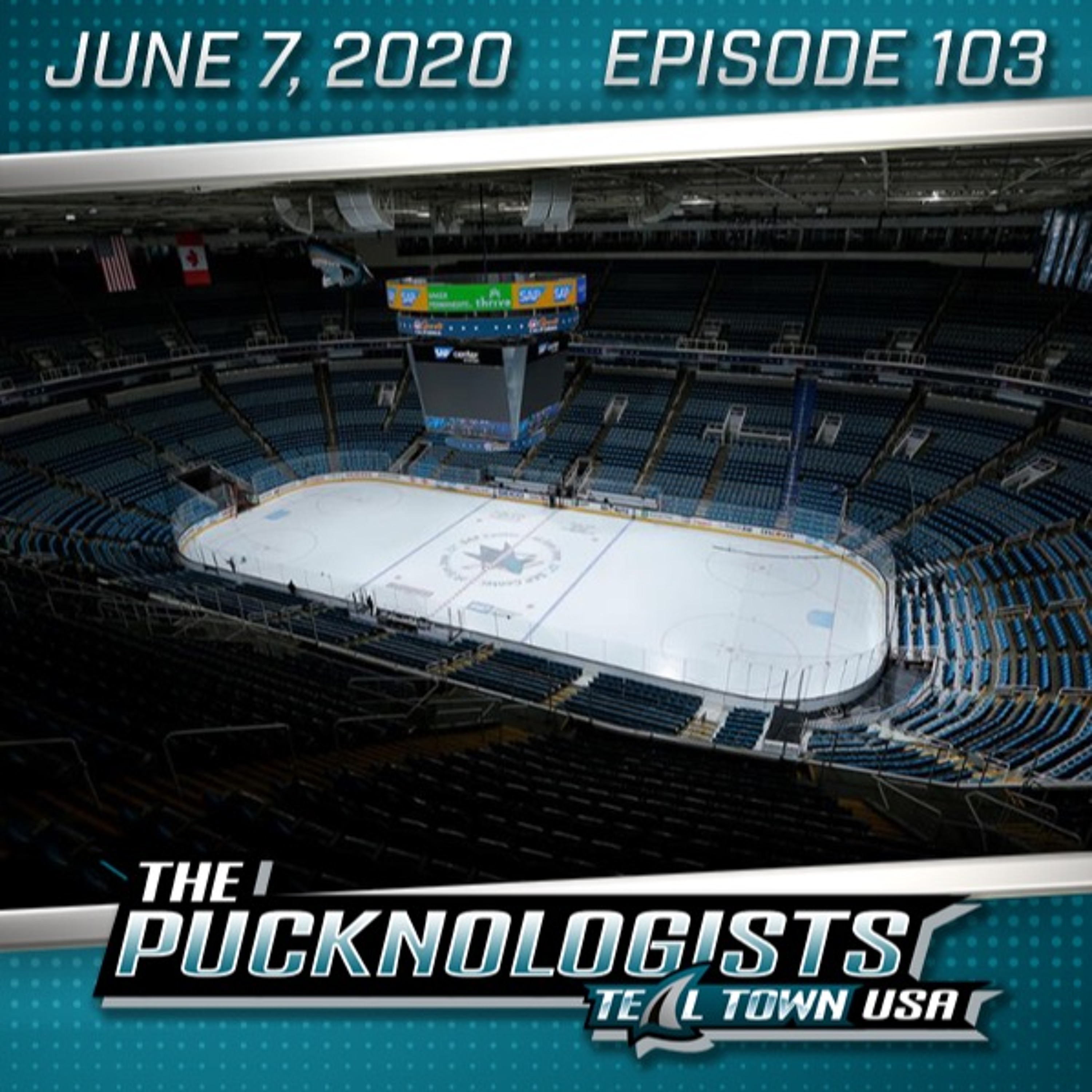 The Pucknologists 103 - NHL on Racism, Playoff Format Announced, Season Review
