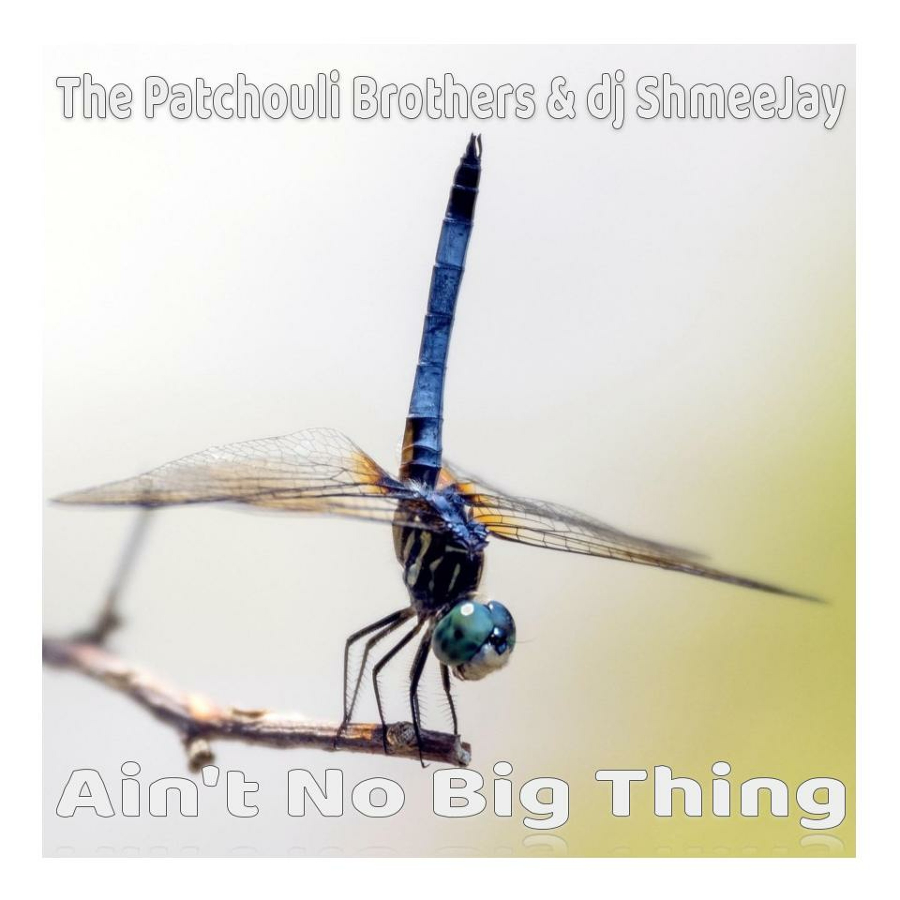 Ain\'t No Big Thing Radio Show