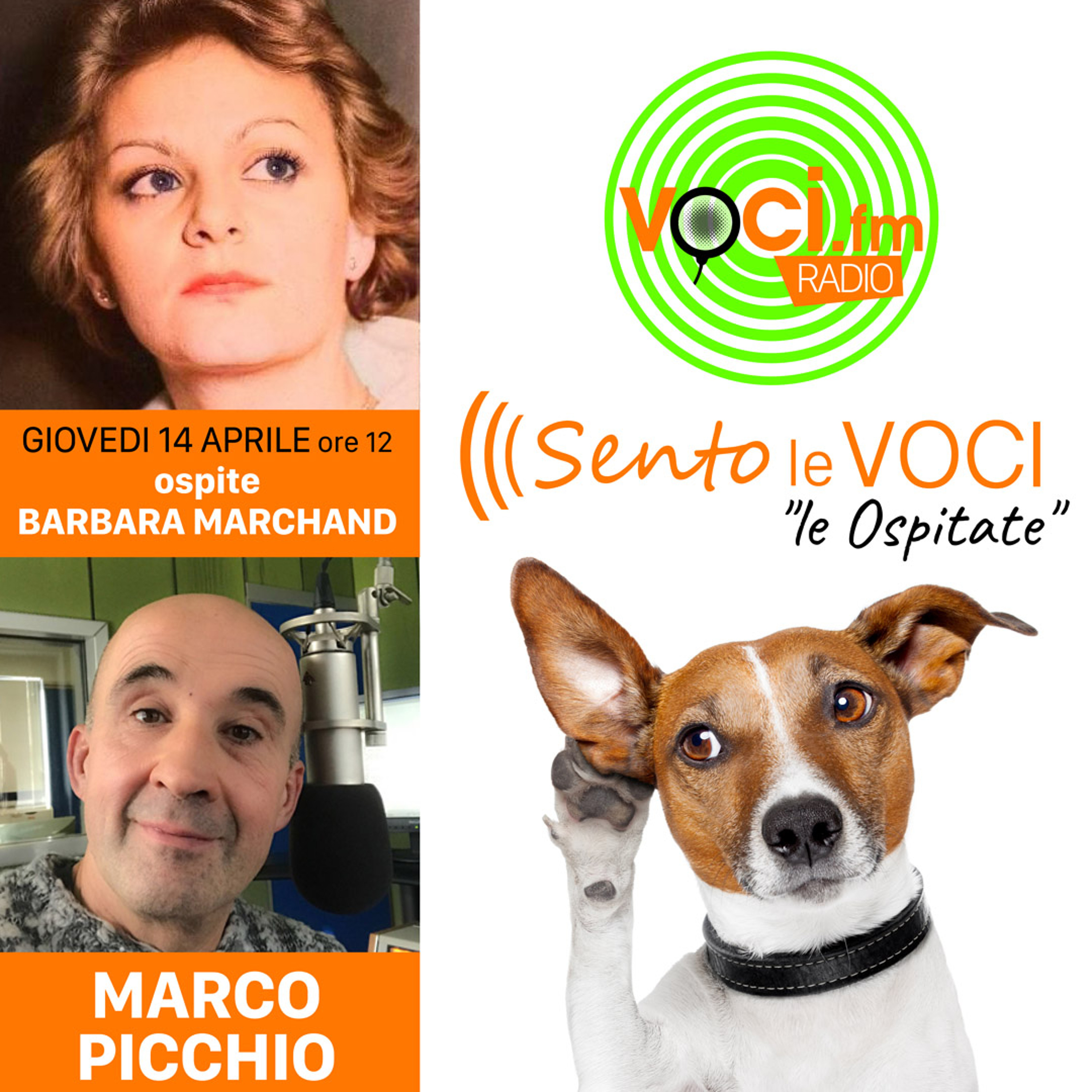 Voci.fm #sitodellevoci