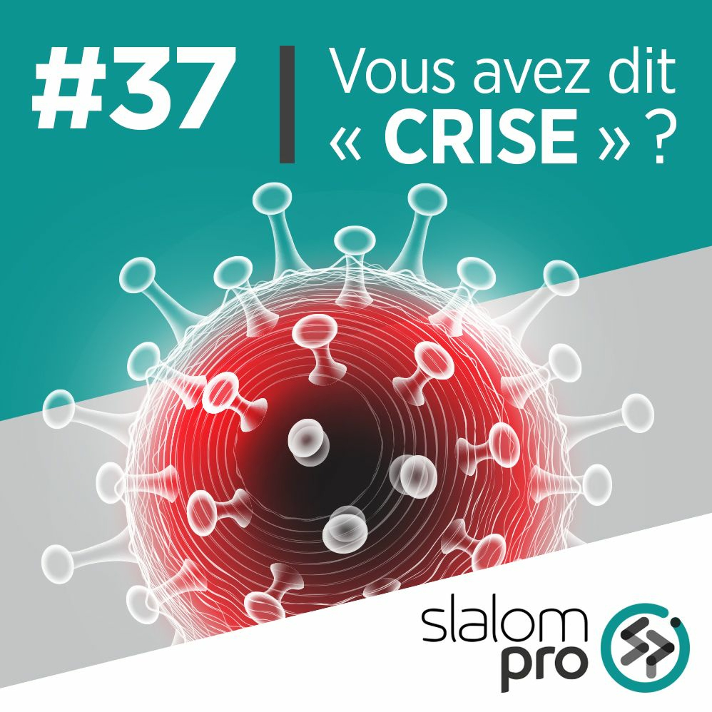 SlalomPro Podcast