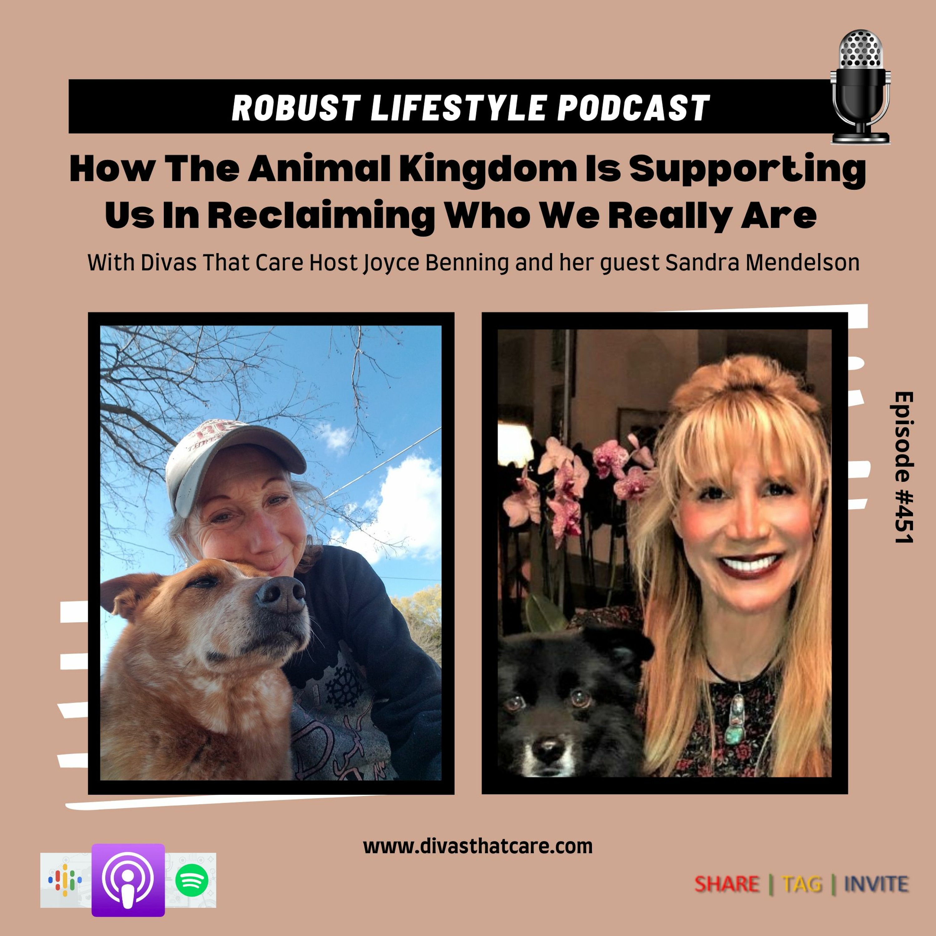 How The Animal Kingdom Is Supporting Us In Reclaiming Who We Really Are