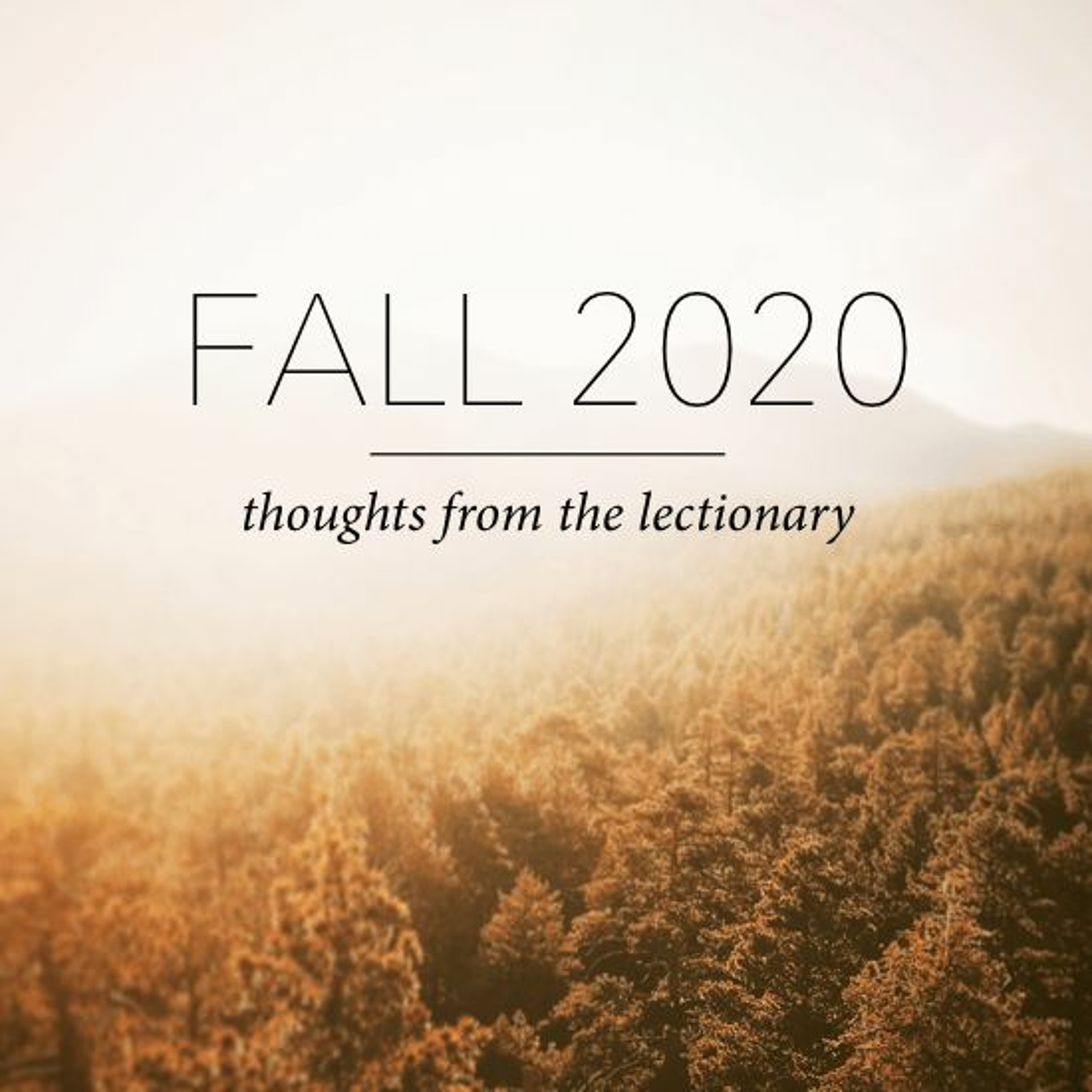 Fall 2020 - Thoughts from the Lectionary: Part 6