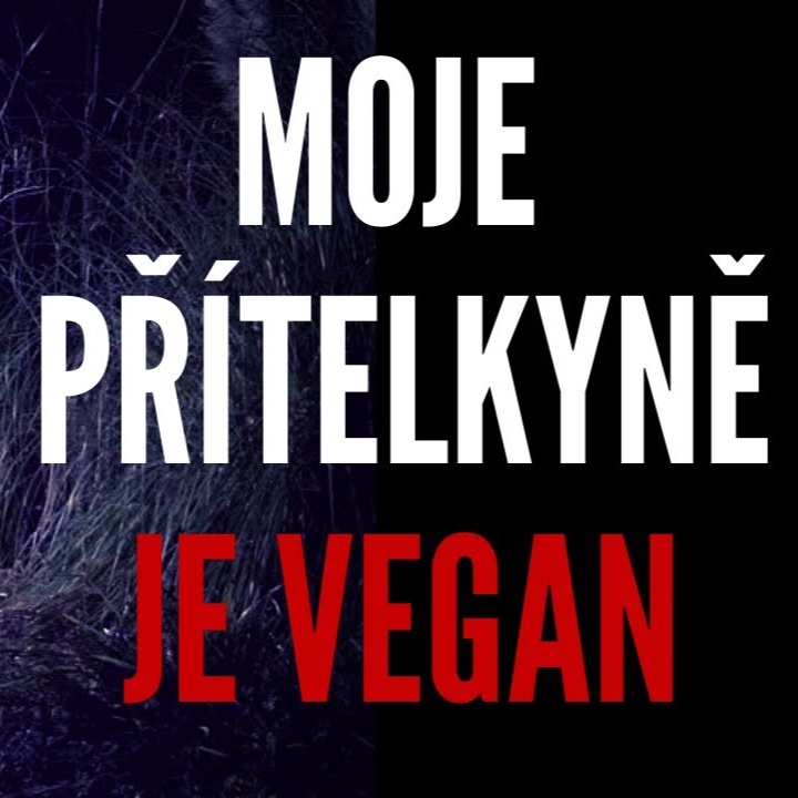 MOJE PŘÍTELKYNĚ JE VEGAN - CREEPYPASTA [CZ]