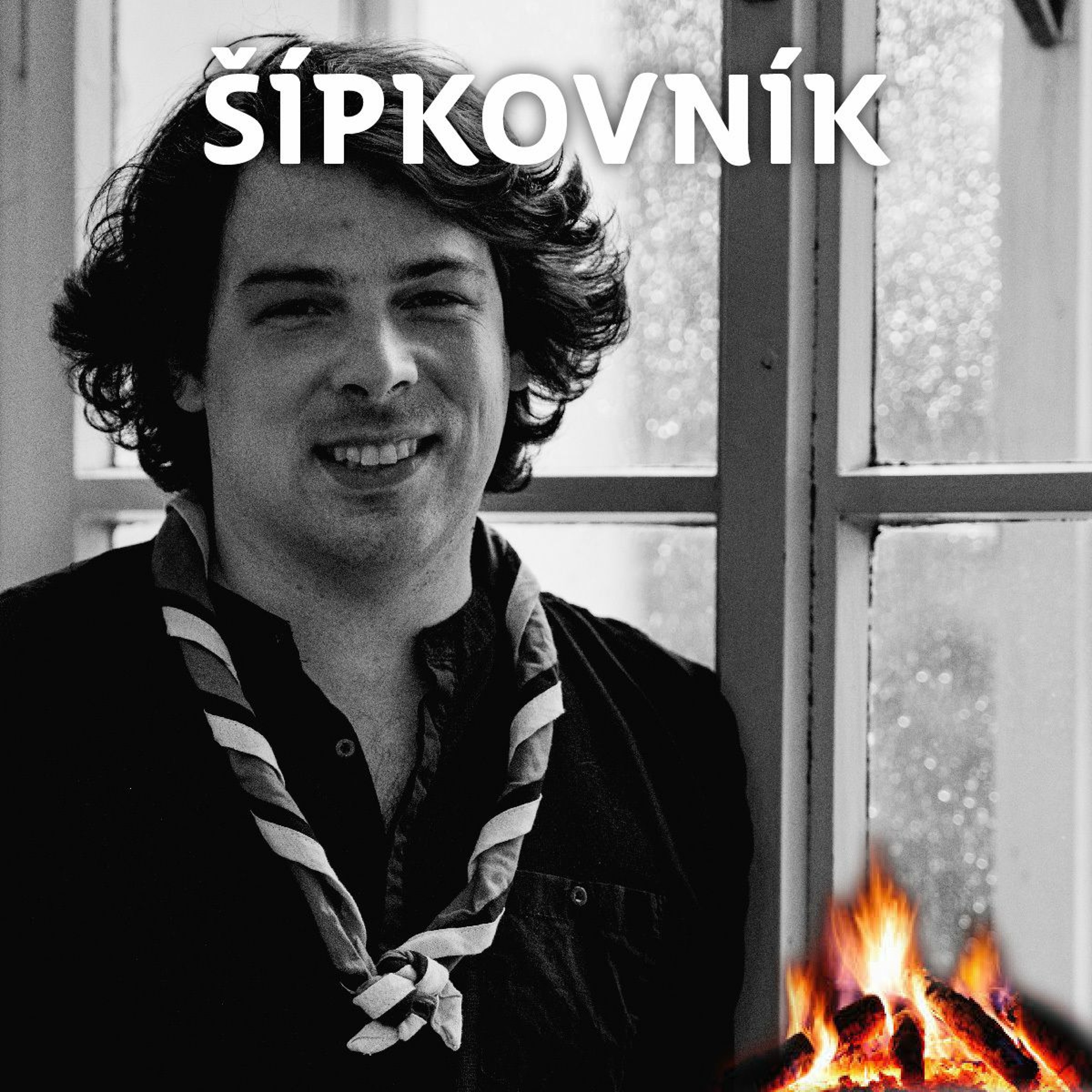 Skautský institut