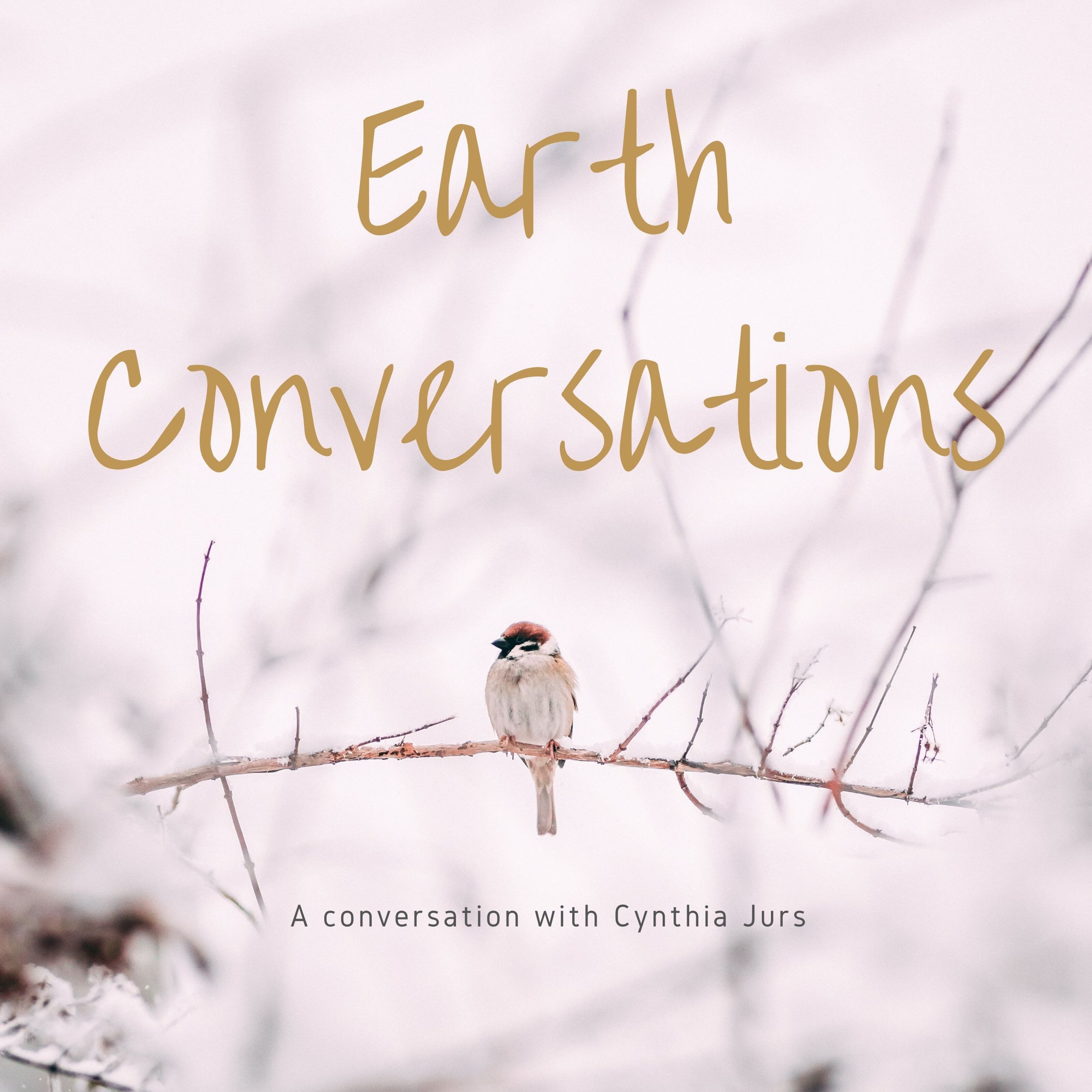 In Conversation with Cynthia Jurs