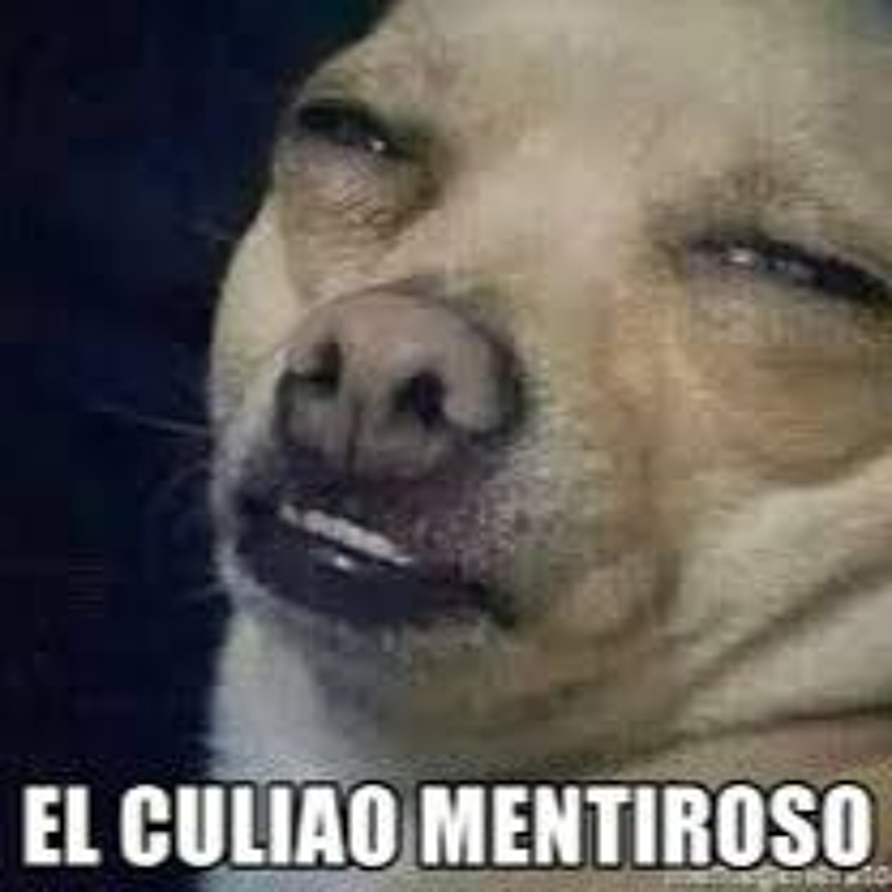 65. Historias de Rencor