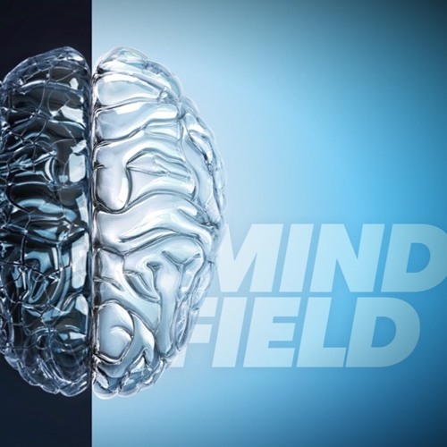 Mindfield | The Struggle With Stress