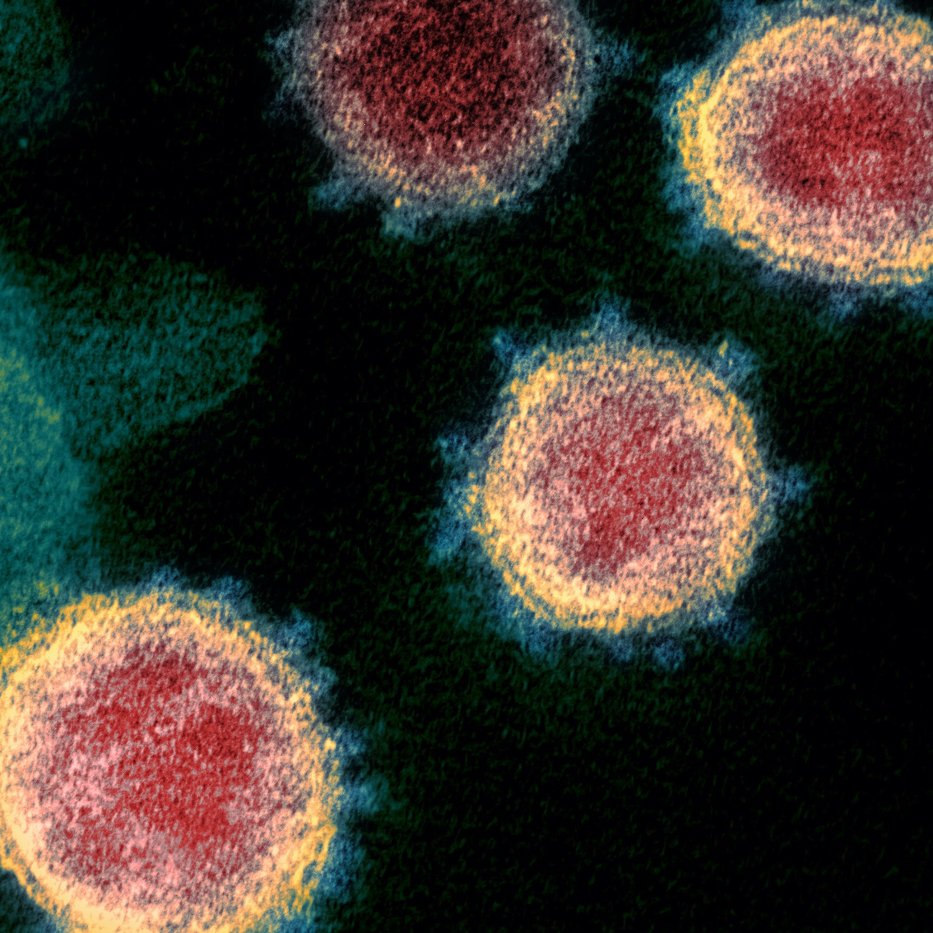 E13 The Rhetoric of Pandemics and COVID19