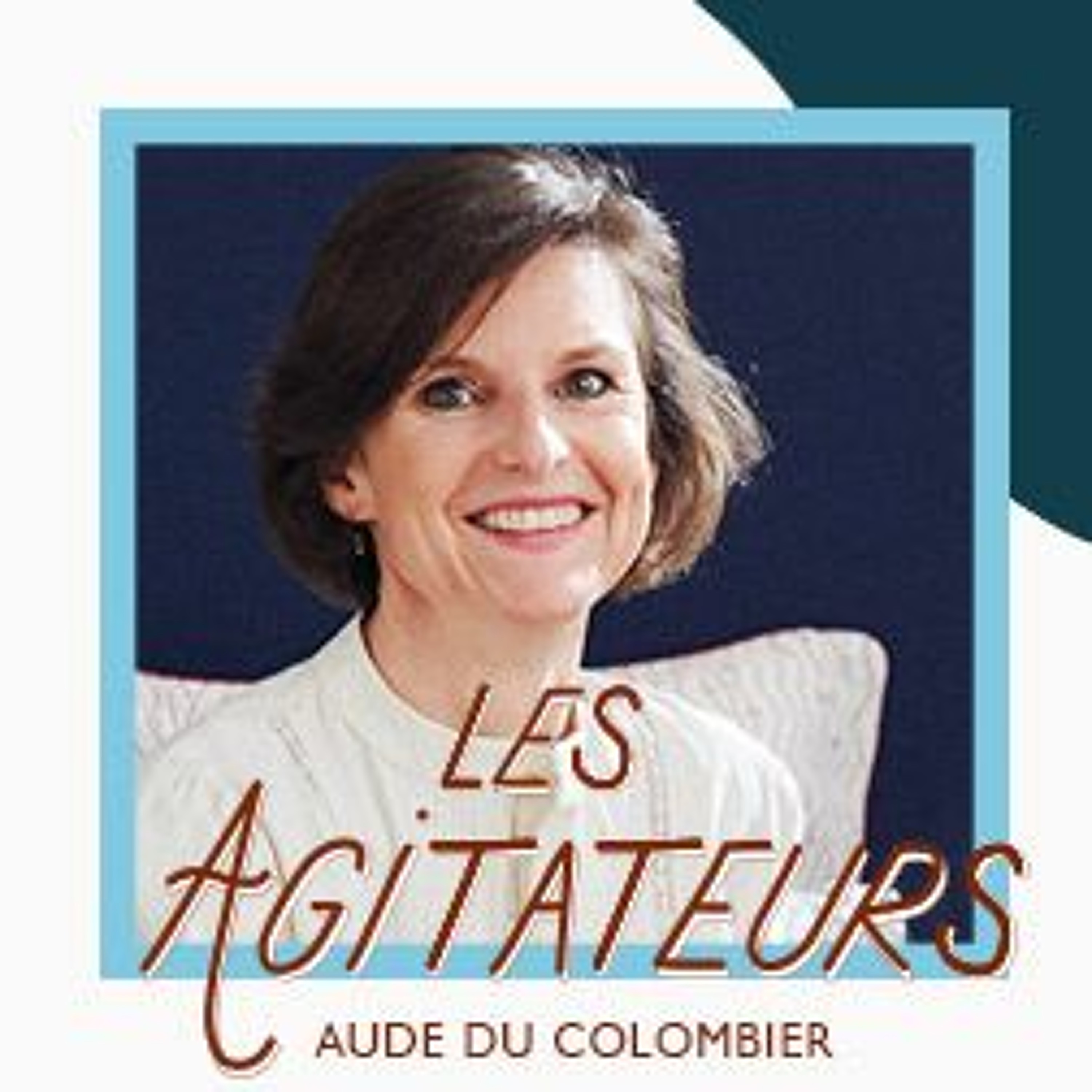 Les Agitateurs par France DNVB