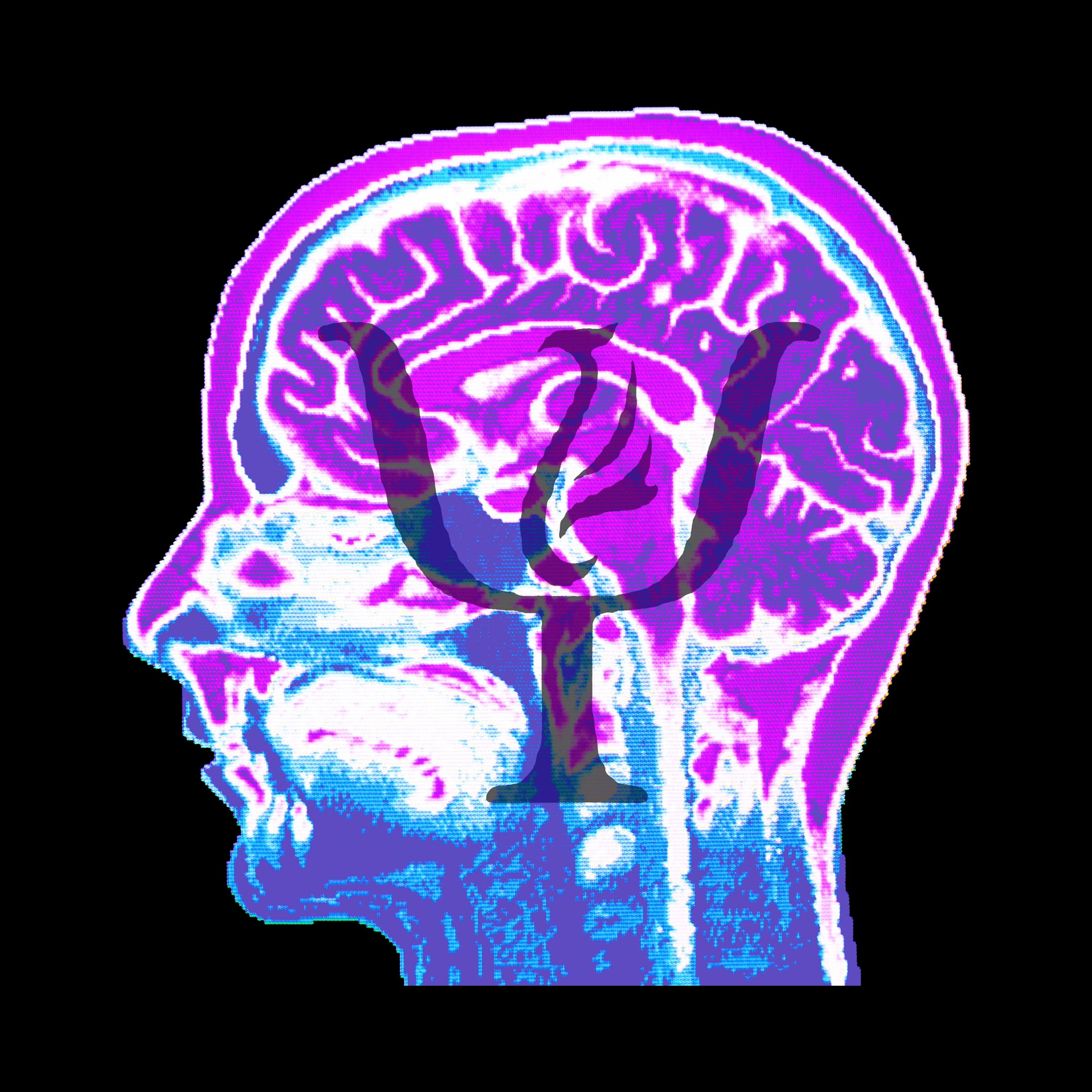 Episode 10 – Intuition and Expertise