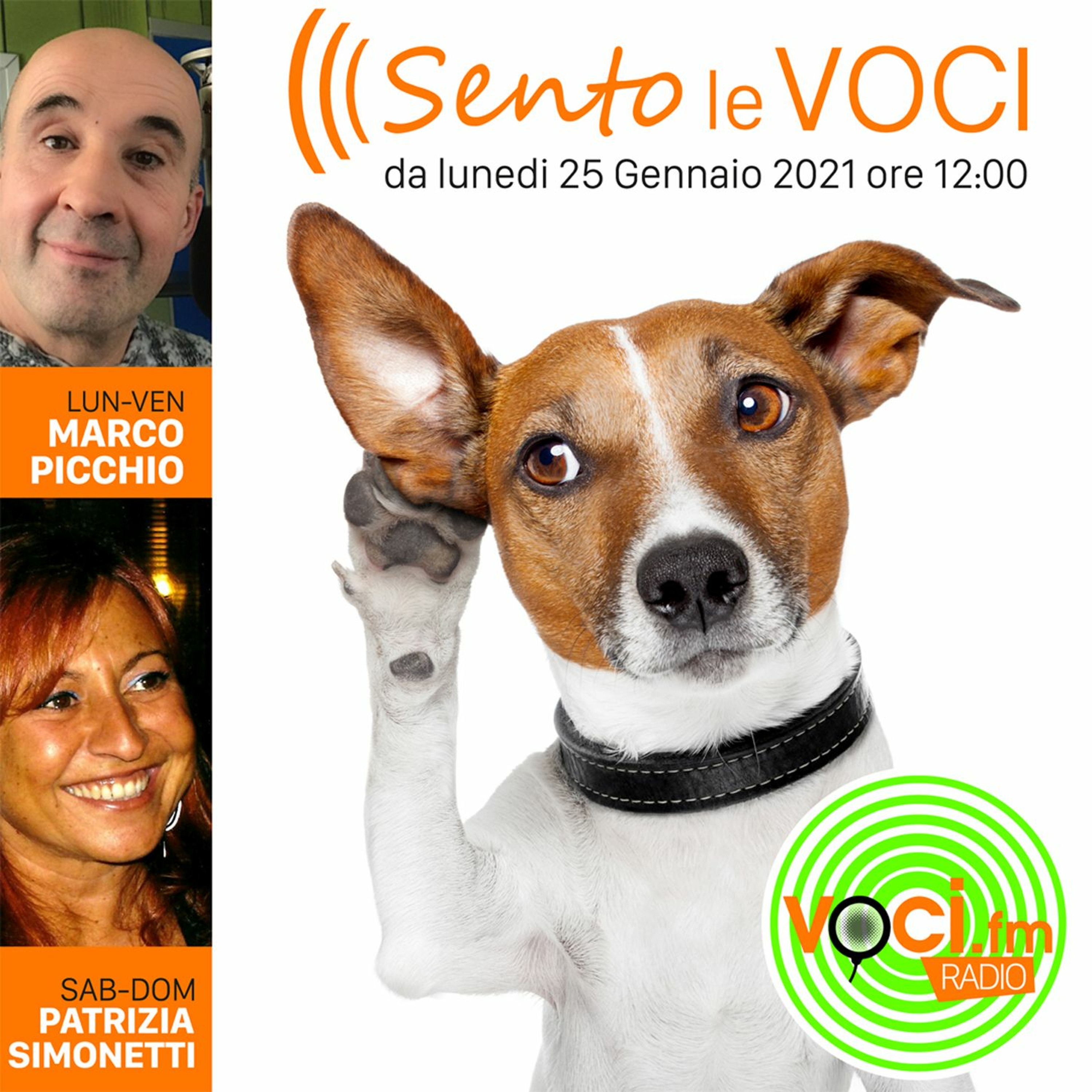 Voci.fm #sitodellevoci