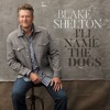 poster of Blake Shelton I Ll Name The Dogs song