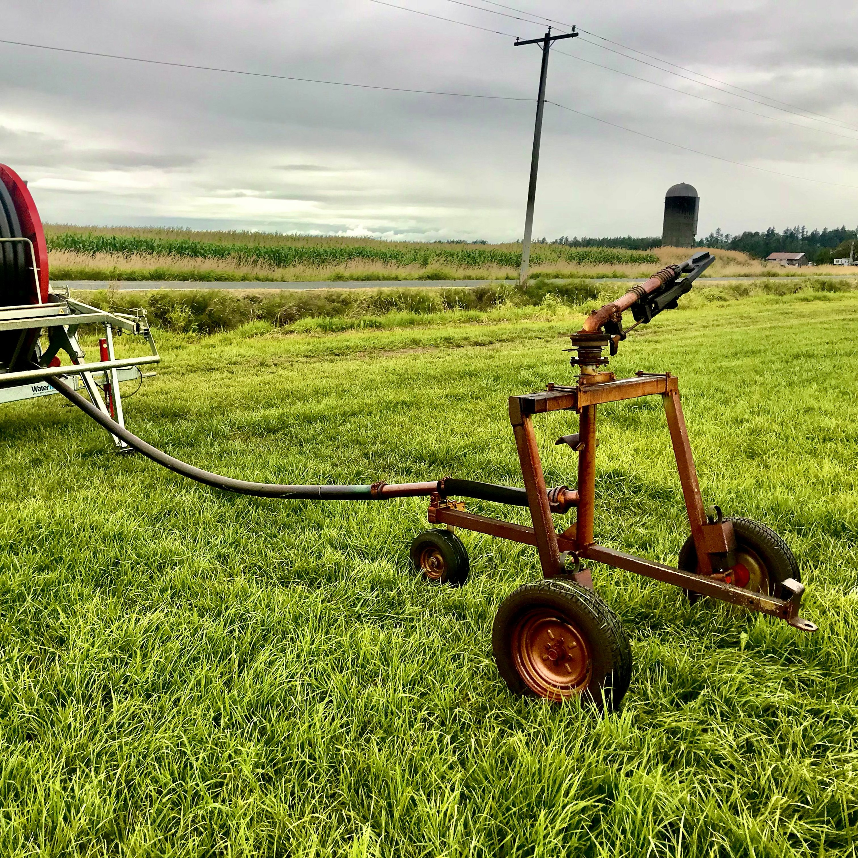 What happens when farmers lose access to water