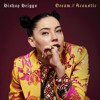Dream Acoustic Mp3