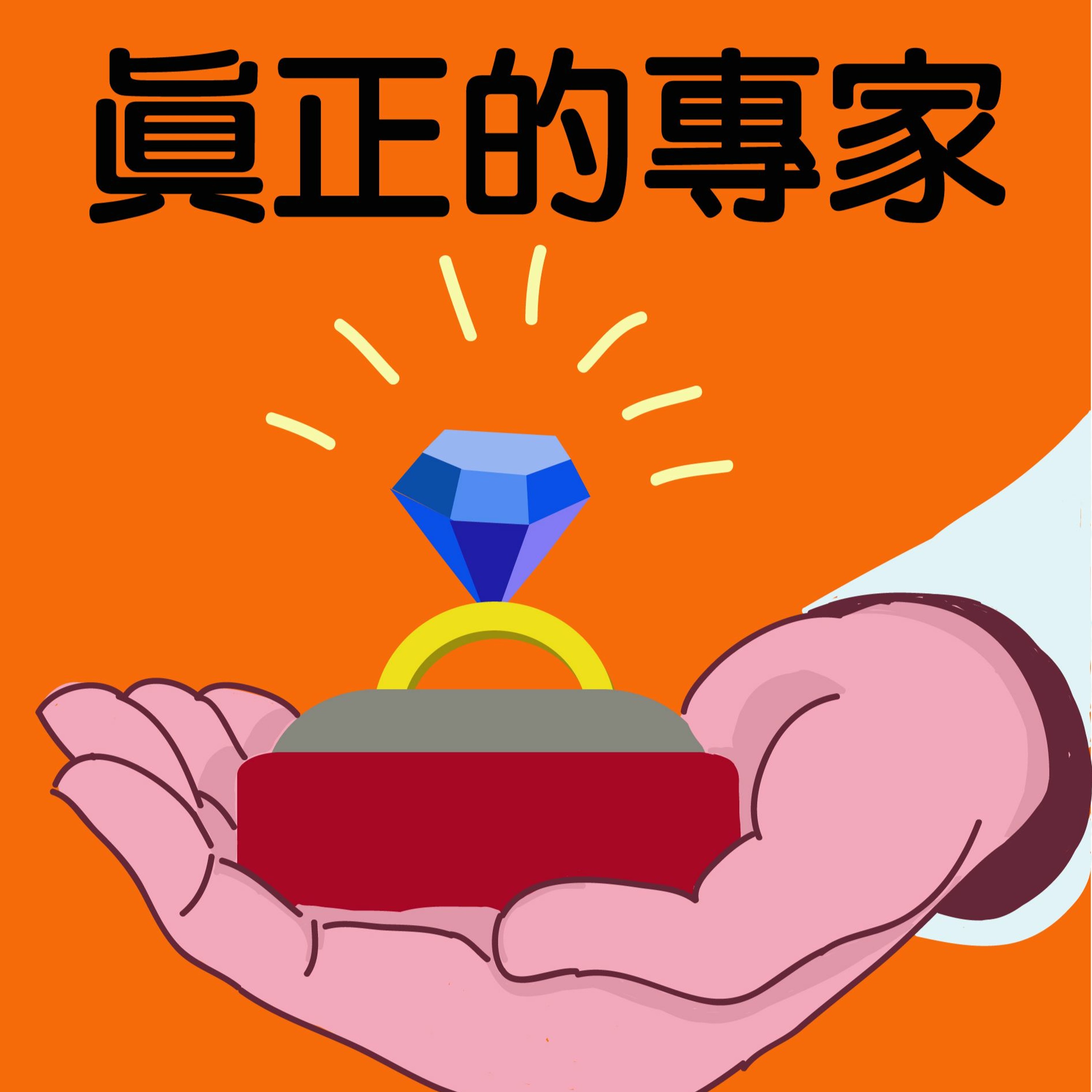 真正的專家(1)