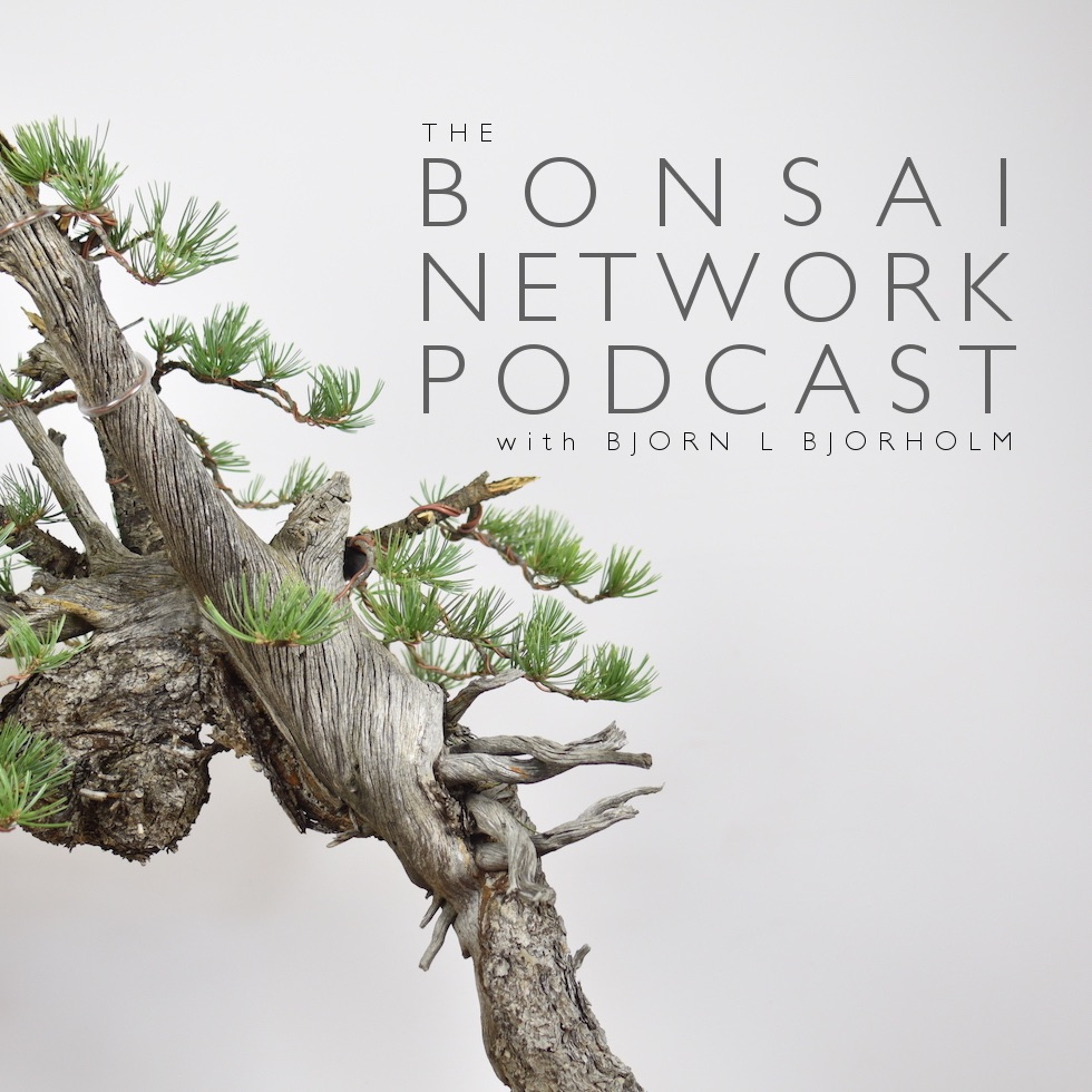 Episode 27 | Bjorn Gets Interviewed by Asis
