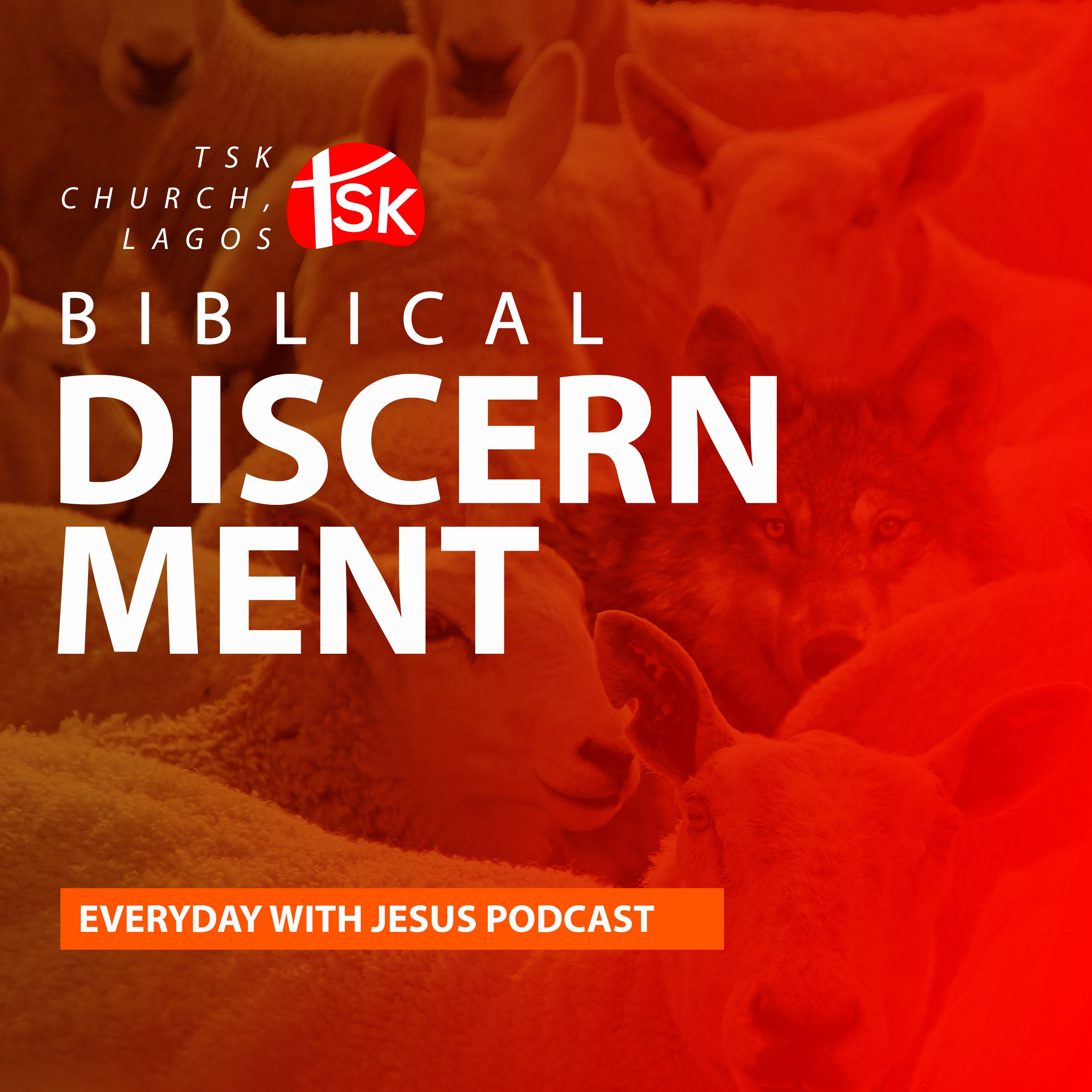 Series 4 | Biblical Discernment - Part 5
