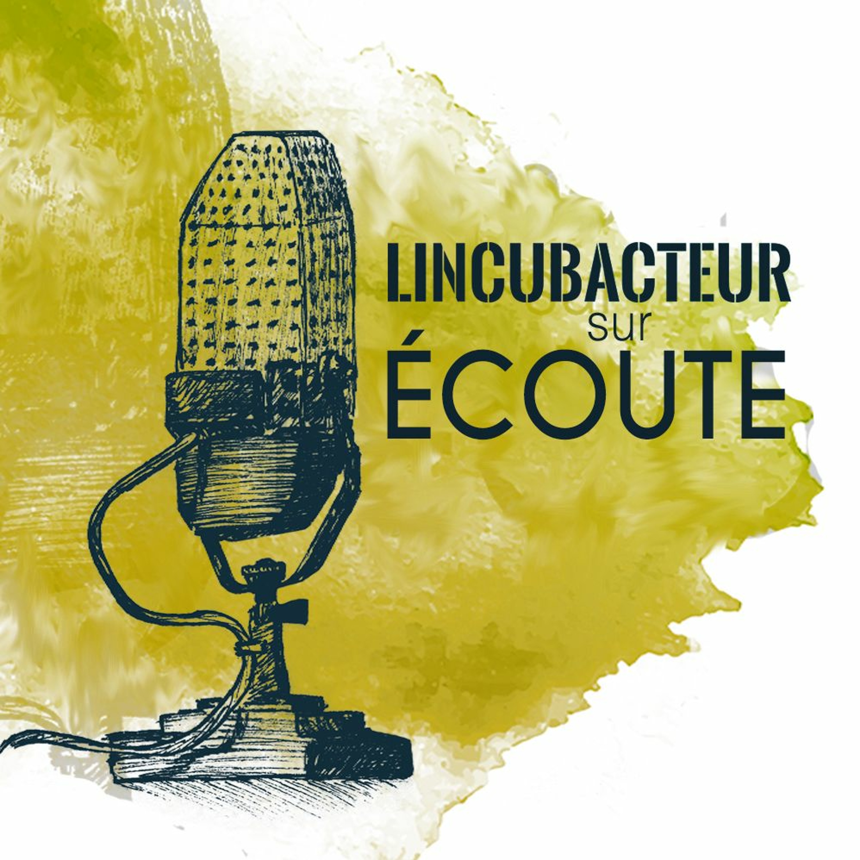 Lincubacteur sur écoute // Episode 3 : Les pionniers