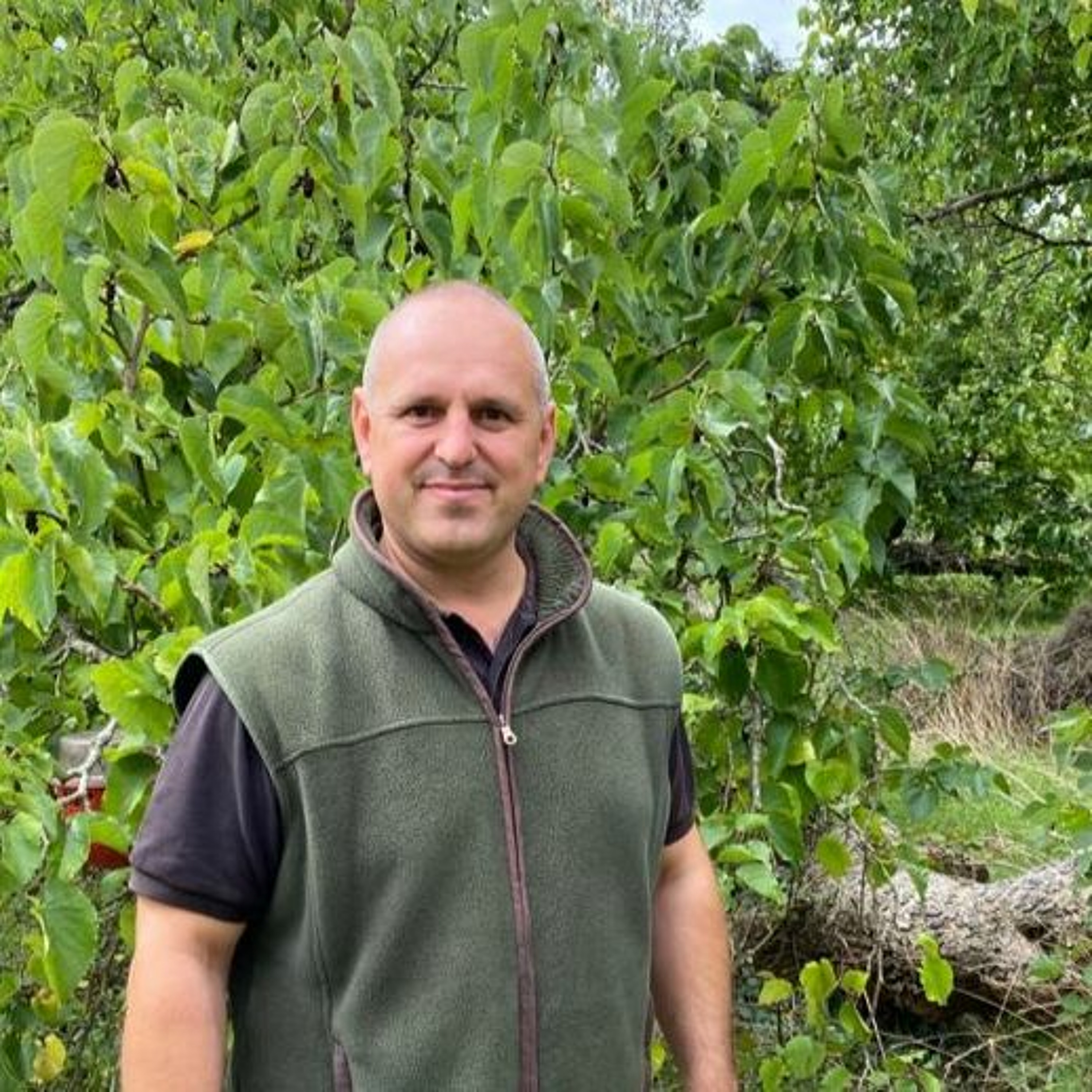 Tiptree has the largest Mulberry orchard in the UK