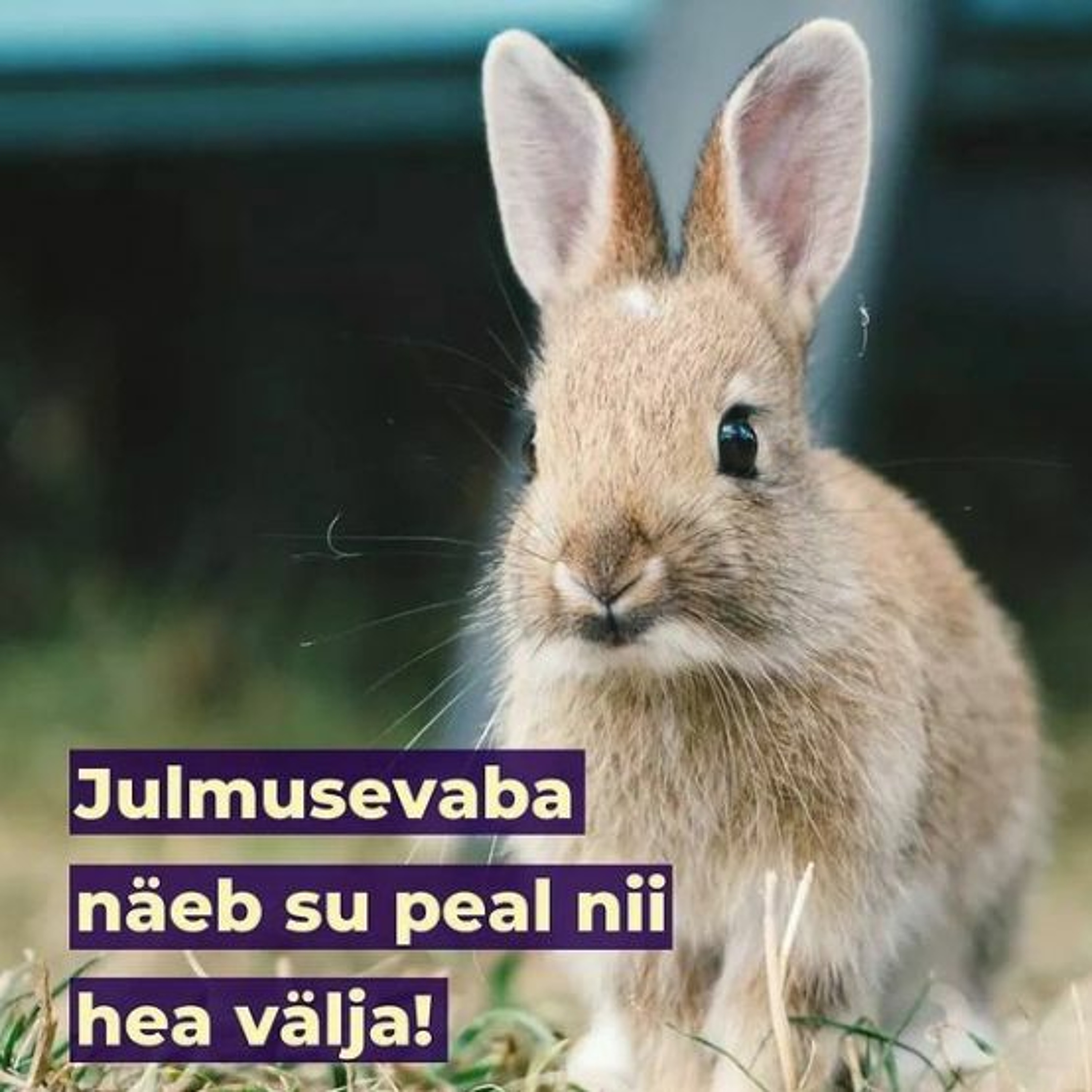 Süveneme kosmeetikasse