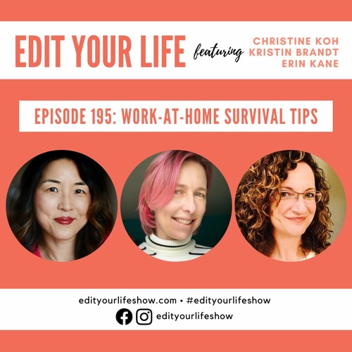 Episode 195: Work-At-Home Survival Tips