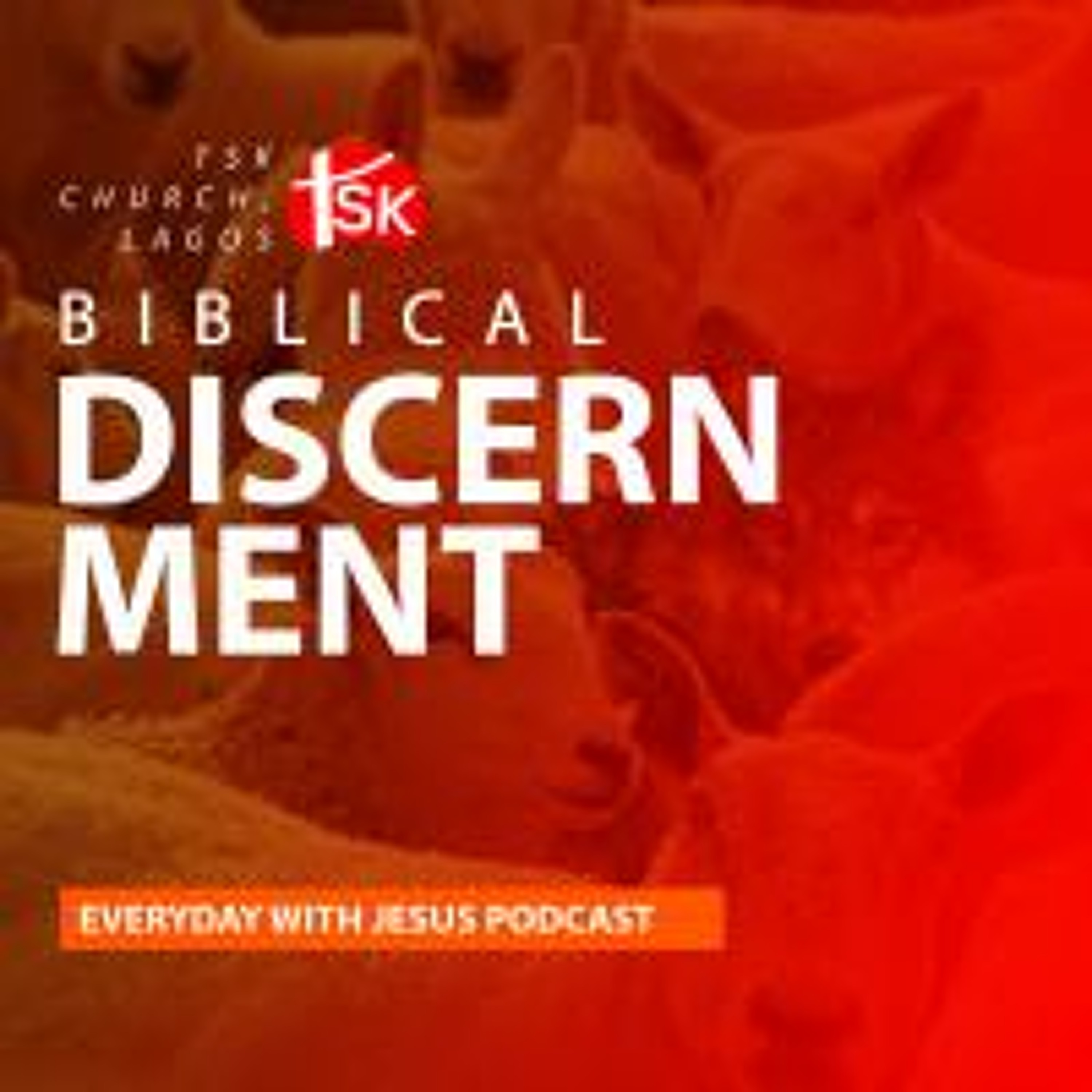 Series 4 | Biblical Discernment - Part 7