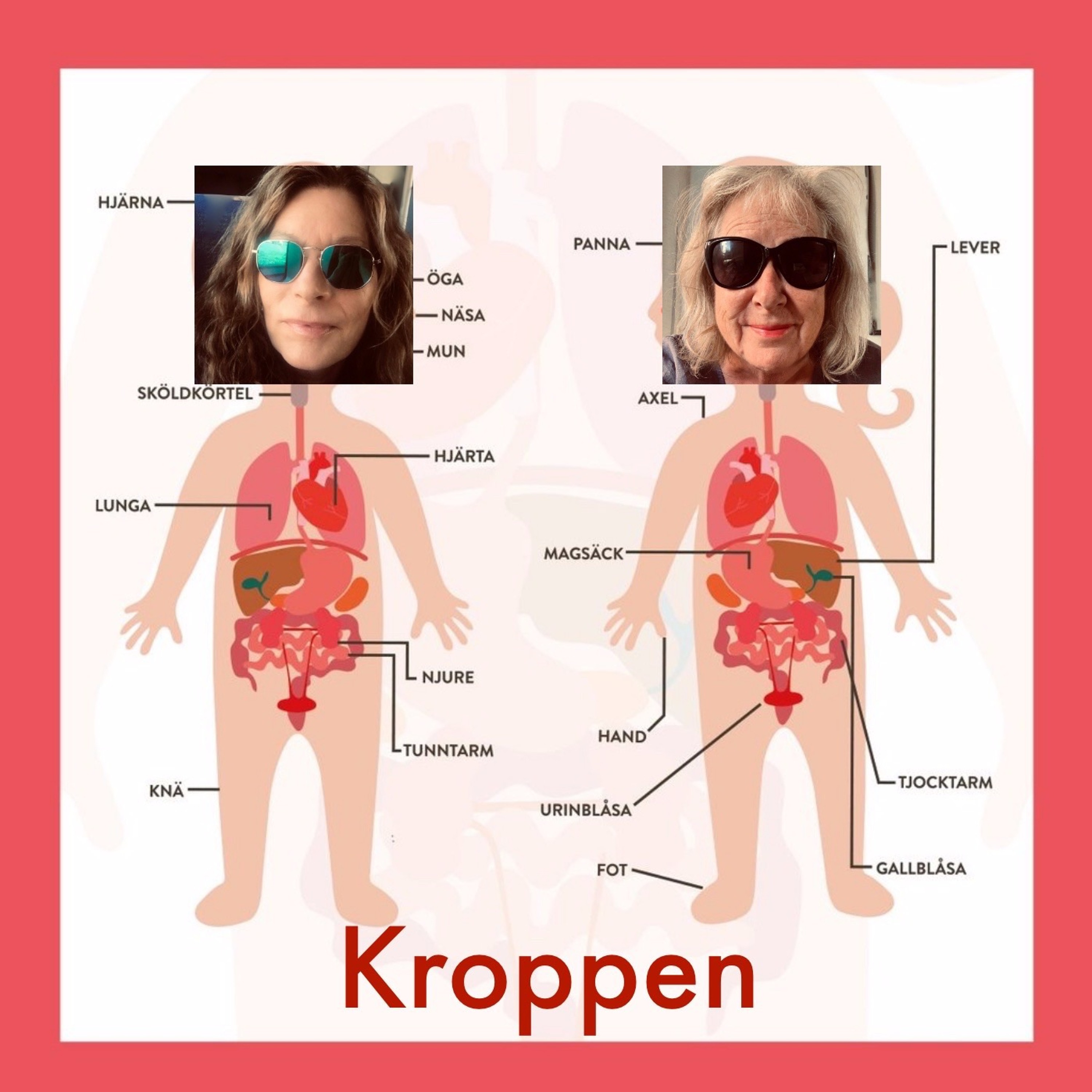 #13: Kroppen