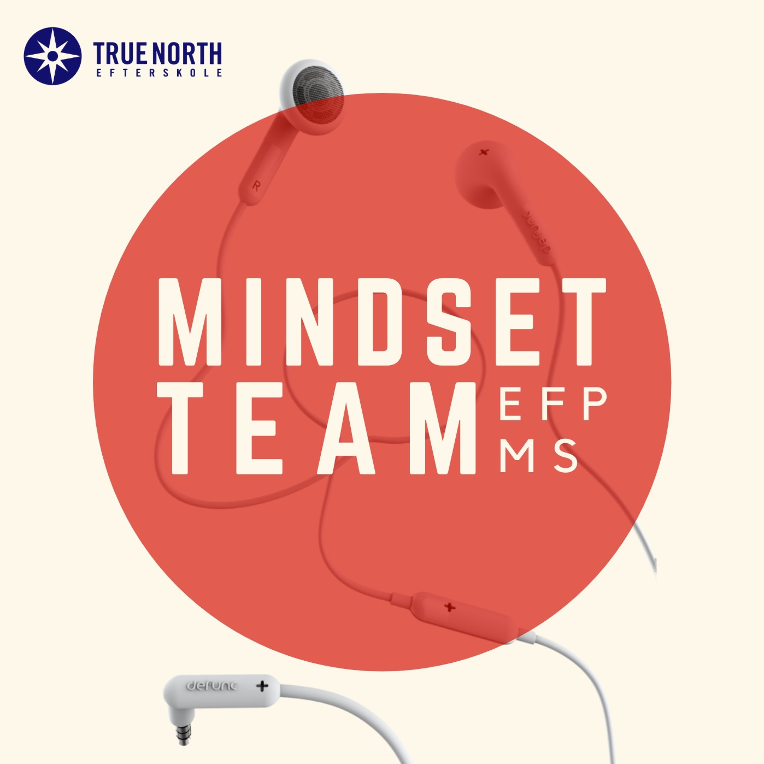 Mindset - Team EFP/MS