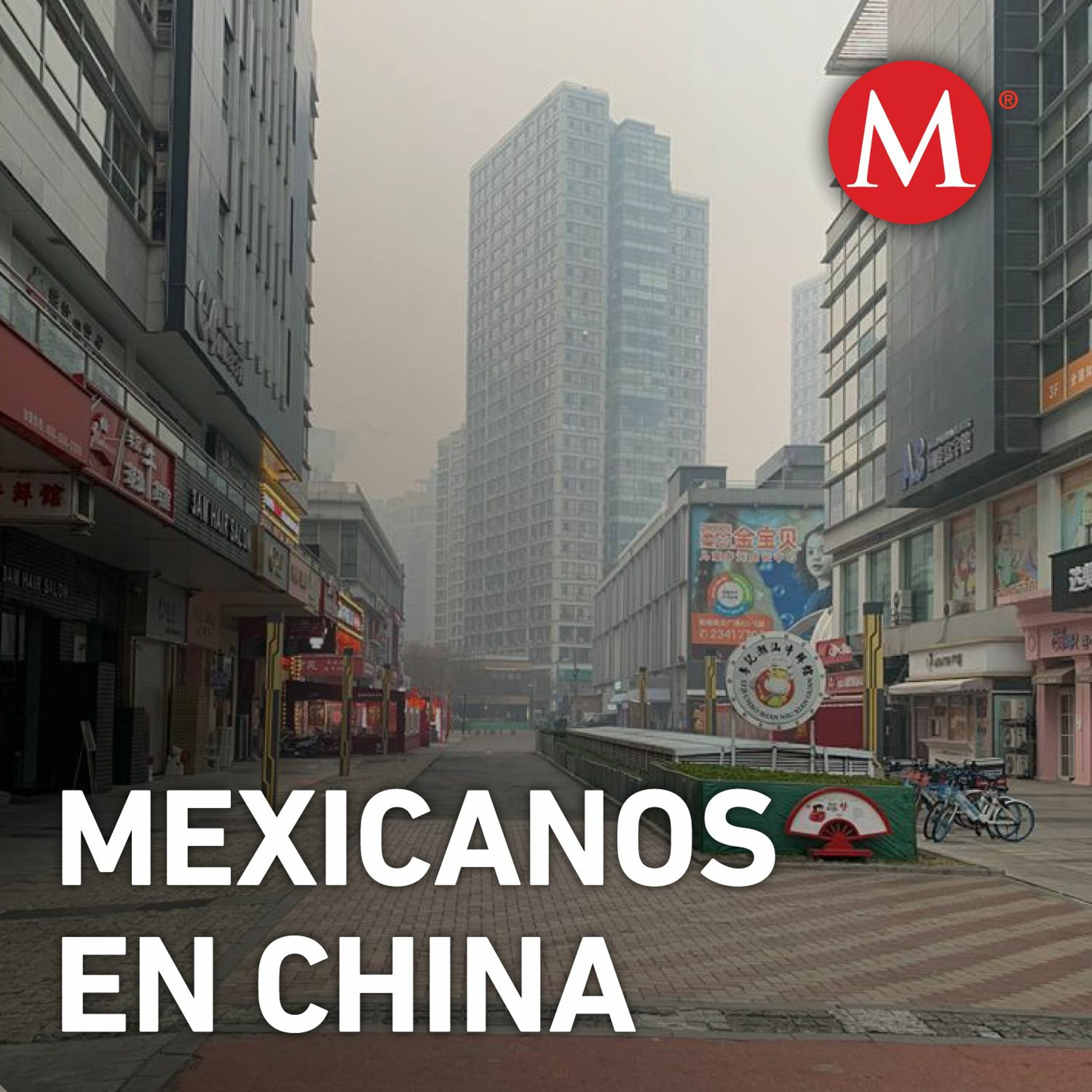 Reportajes Milenio