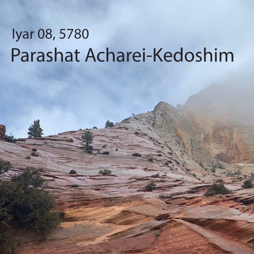 AE: Torah for the Earth - Acharei-Kedoshim