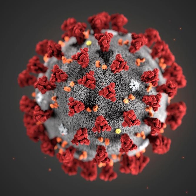 Hlášení COVID-19 KORONAVIRUS