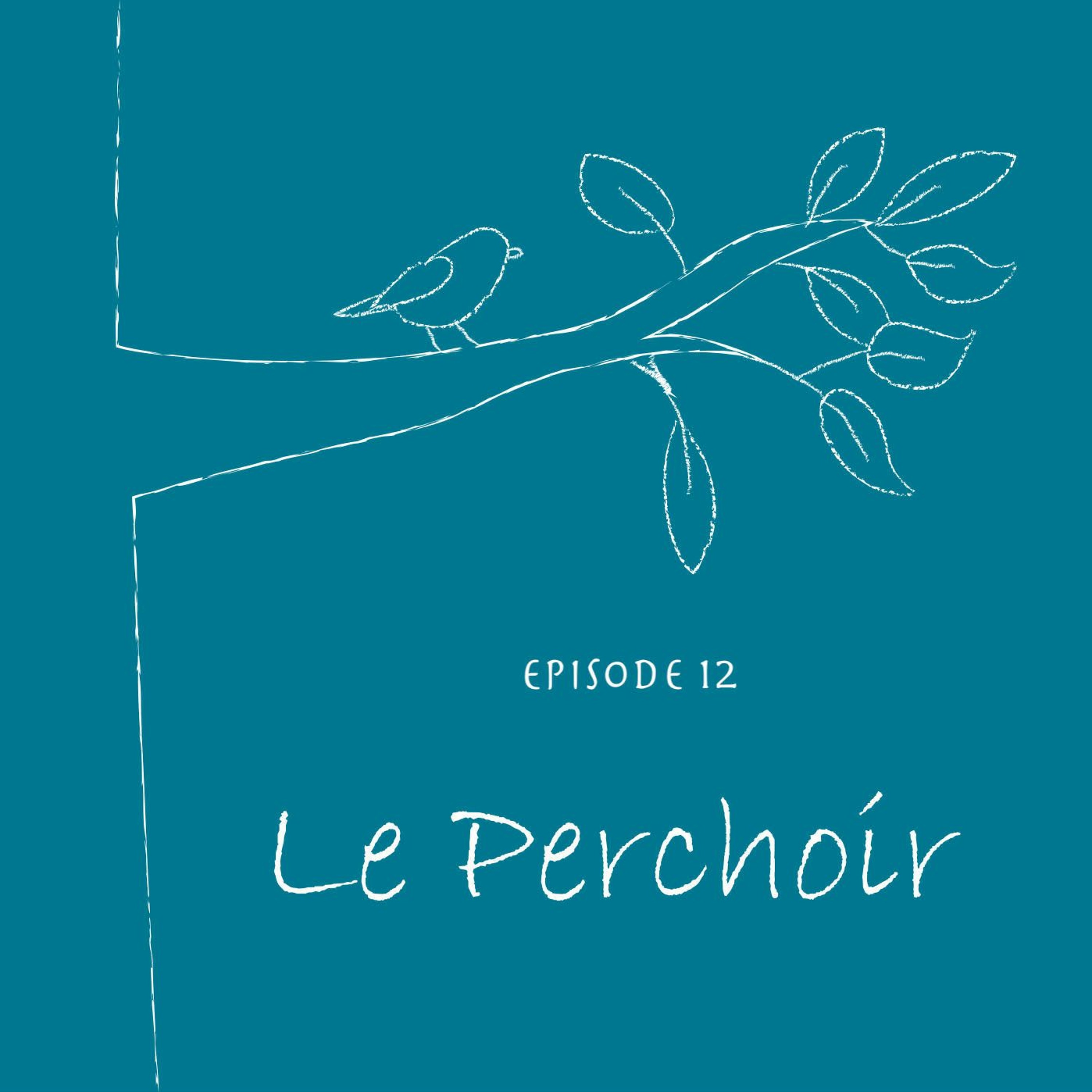 (12) Pourquoi j'aime le droit de l'urbanisme - Le Perchoir prend une pause !